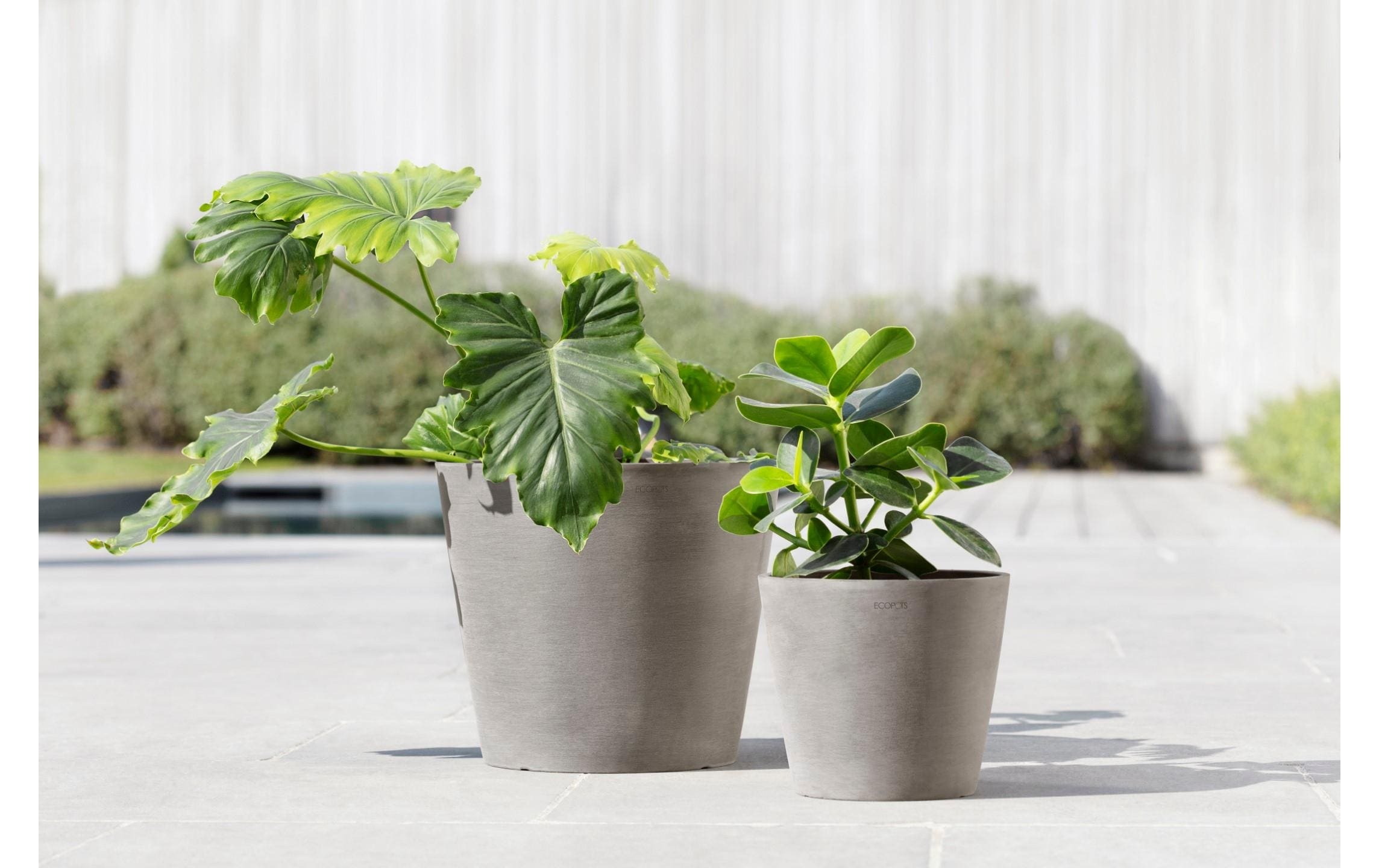 ECOPOTS Pflanzkübel »Amsterdam 30«, (1 St.)