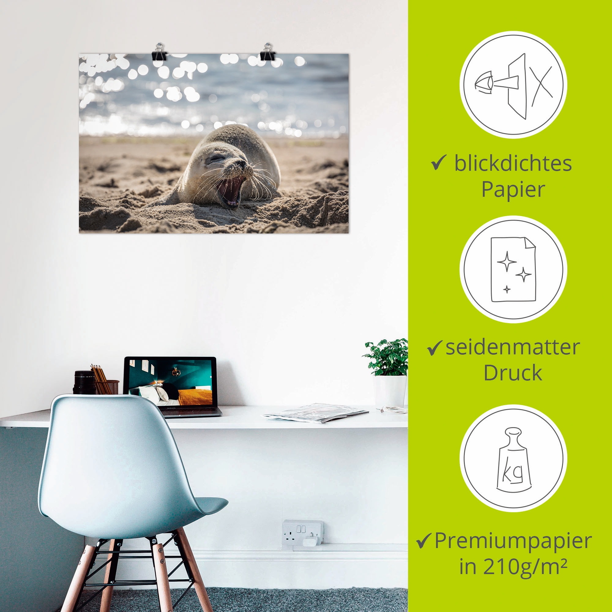 Artland Wandbild »Baby-Robbe am Strand von List, Sylt«, Robben, (1 St.), als Poster, Wandaufkleber in verschied. Grössen