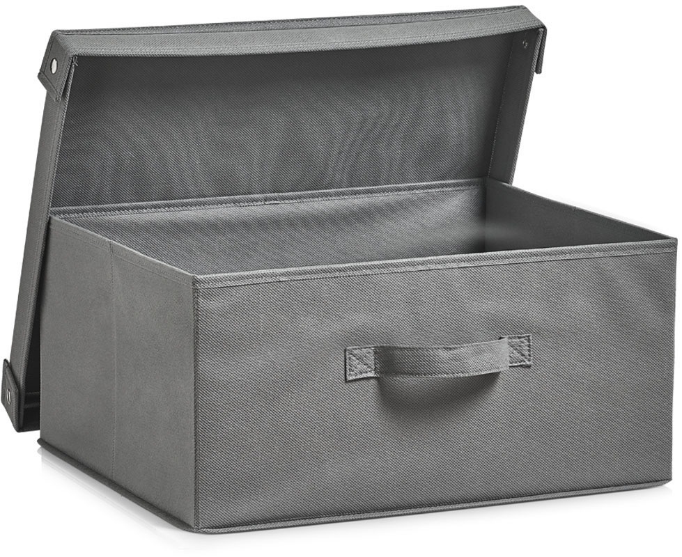 Zeller Present Organizer "Faltbar" Aufbewahrungsbox, mit Deckel, Tiefe: ca. 35 cm, Breite: ca. 41 cm