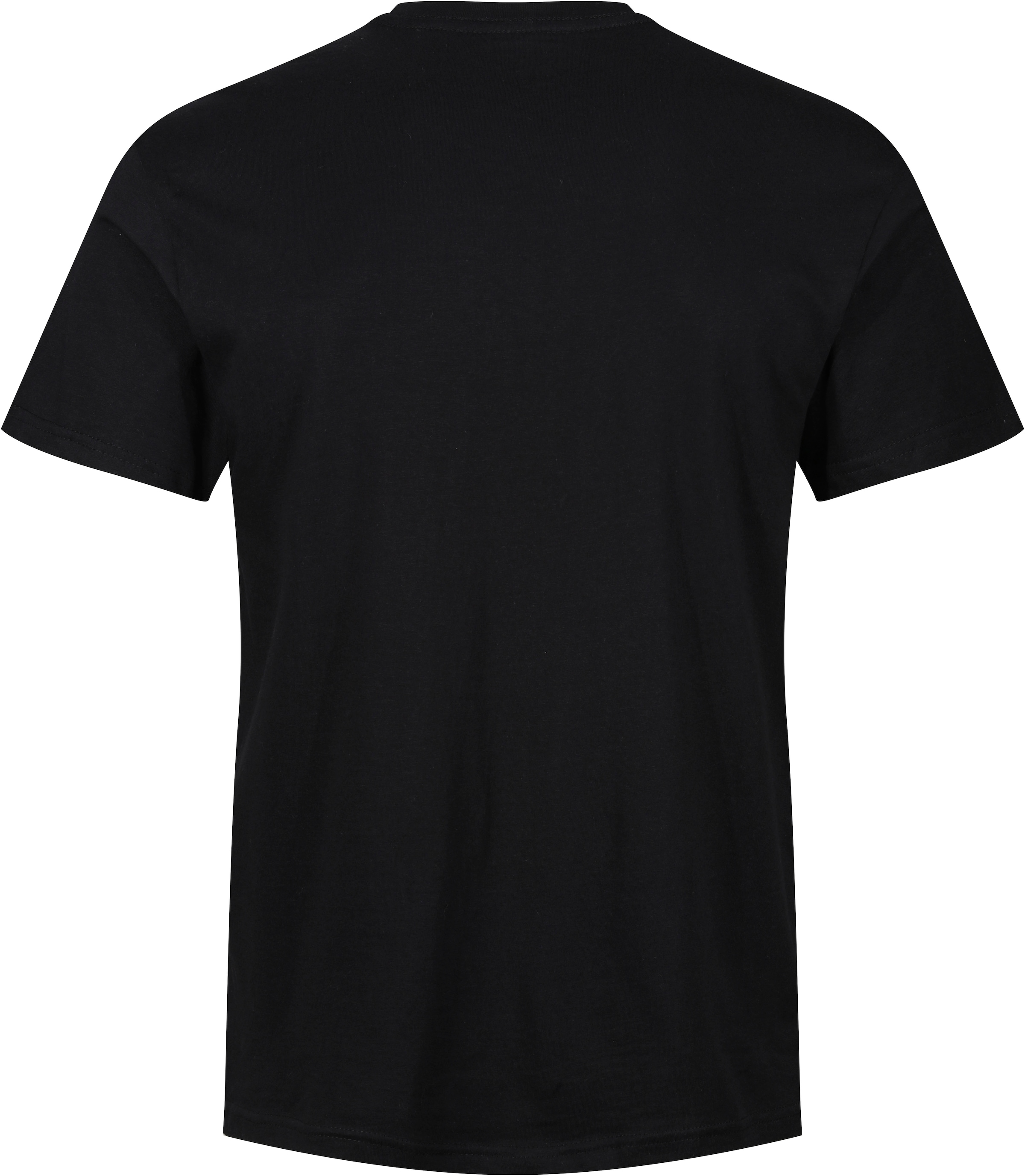 Wrangler T-Shirt »"Foster"«, mit Logoschriftzug und Rundhalsausschnitt