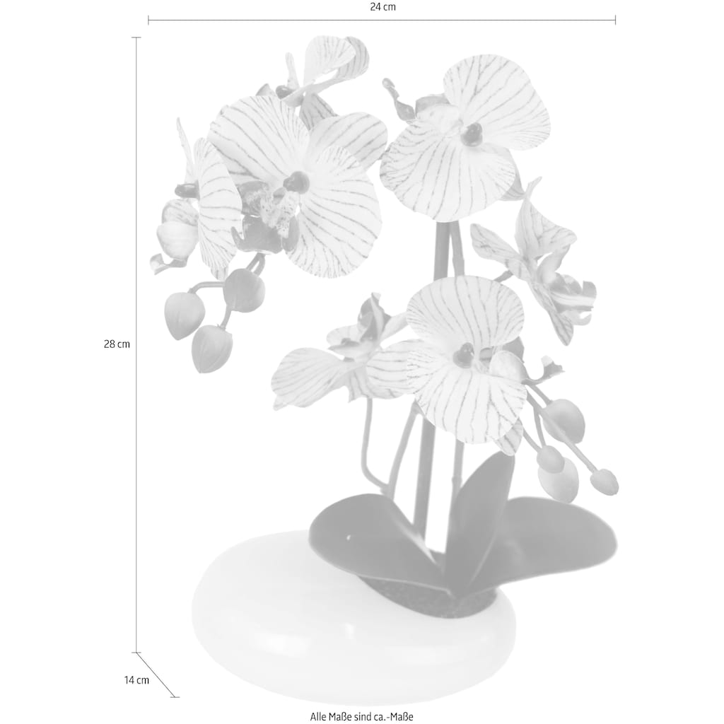 I.GE.A. Kunstpflanze »Phalaenopsis in Schale«
