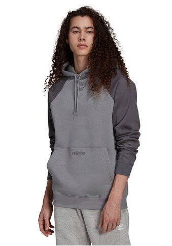 adidas Originals Kapuzensweatshirt »SPRT BLOCKED HOODIE« kaufen