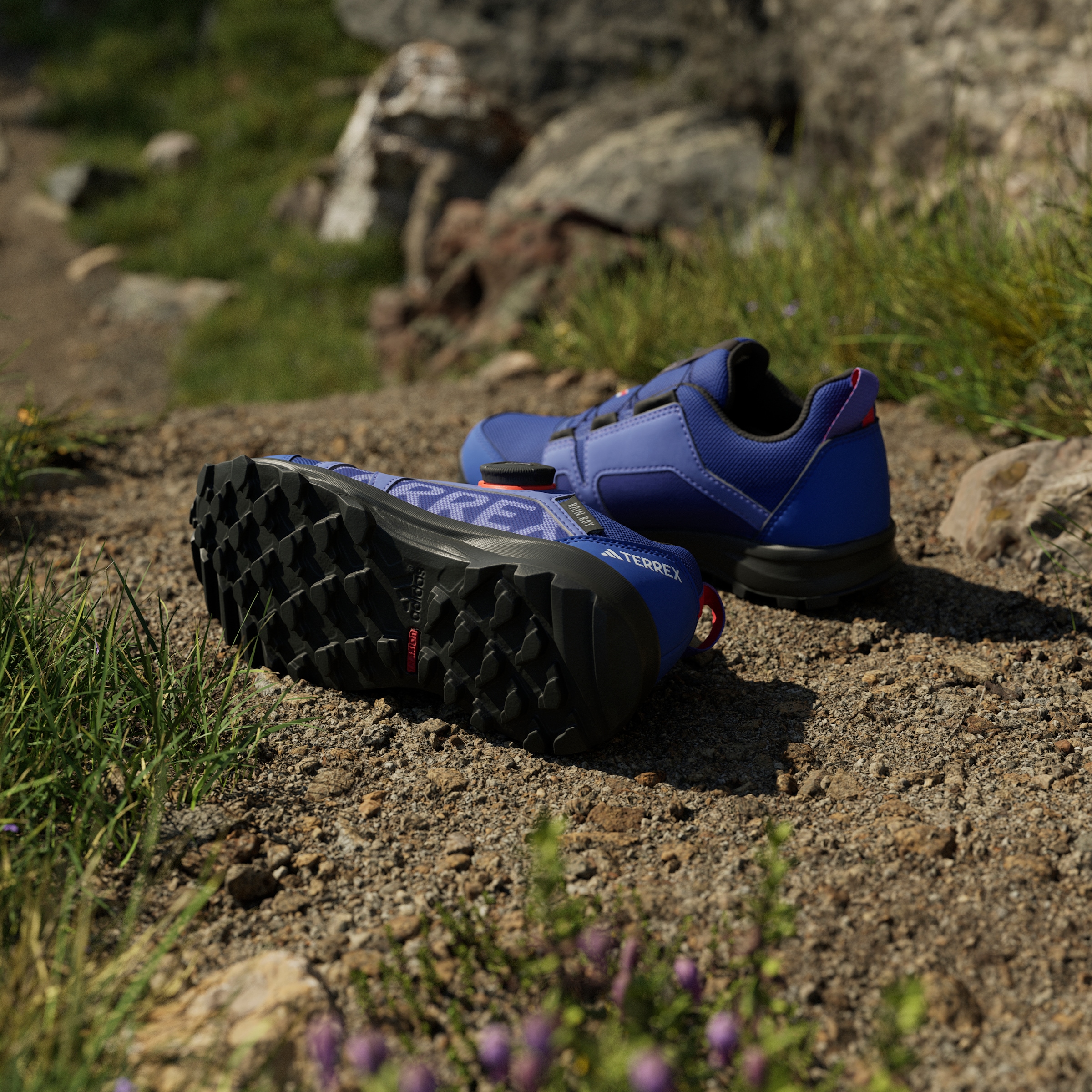 adidas TERREX Trailrunningschuh »TERREX AGRAVIC BOA RAIN.RDY TRAILRUNNING«, wasserdicht