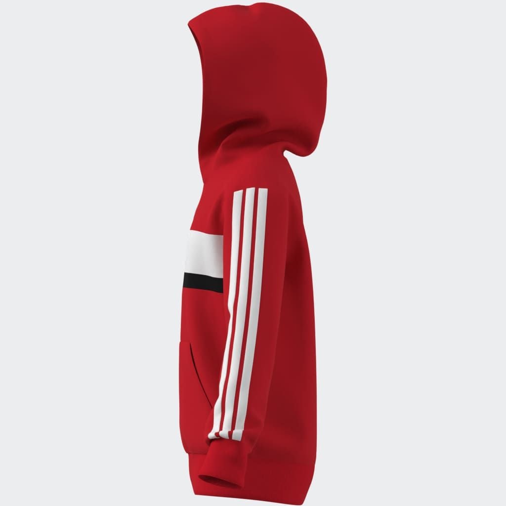 adidas Sportswear Kapuzensweatshirt »J 3S TIB FL HD«