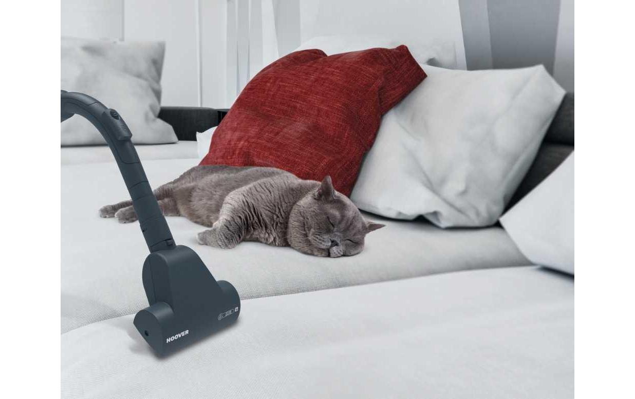 Hoover Bodenstaubsauger »Hoover Bodenstaubsauger KS50PET 21«, 550 W, beutellos