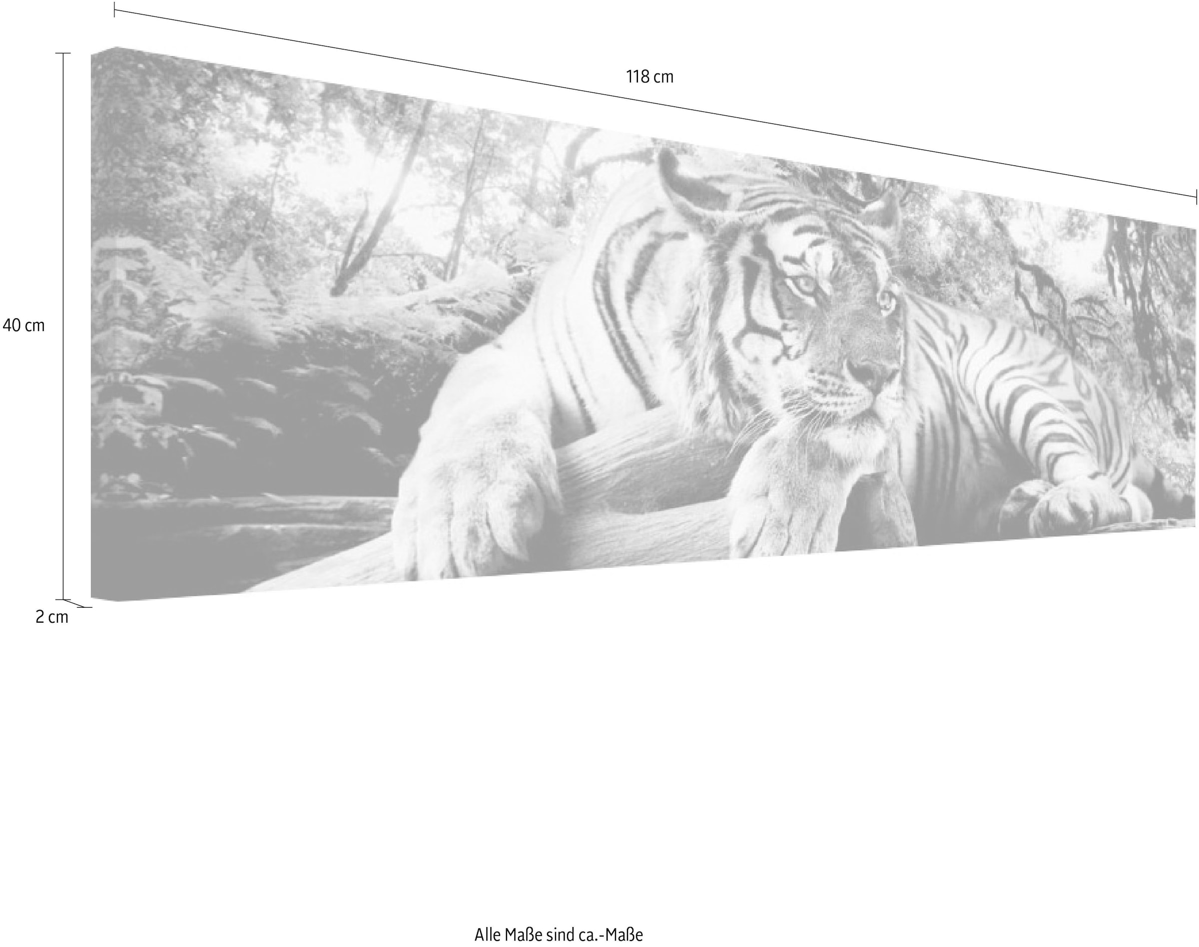 Tiger ❤ Wandbild Jelmoli-Online - bestellen Raubtier Wohnzimmer Reinders! Wandbild« Wandbild - Wandbild im Shop - »Tigerblick