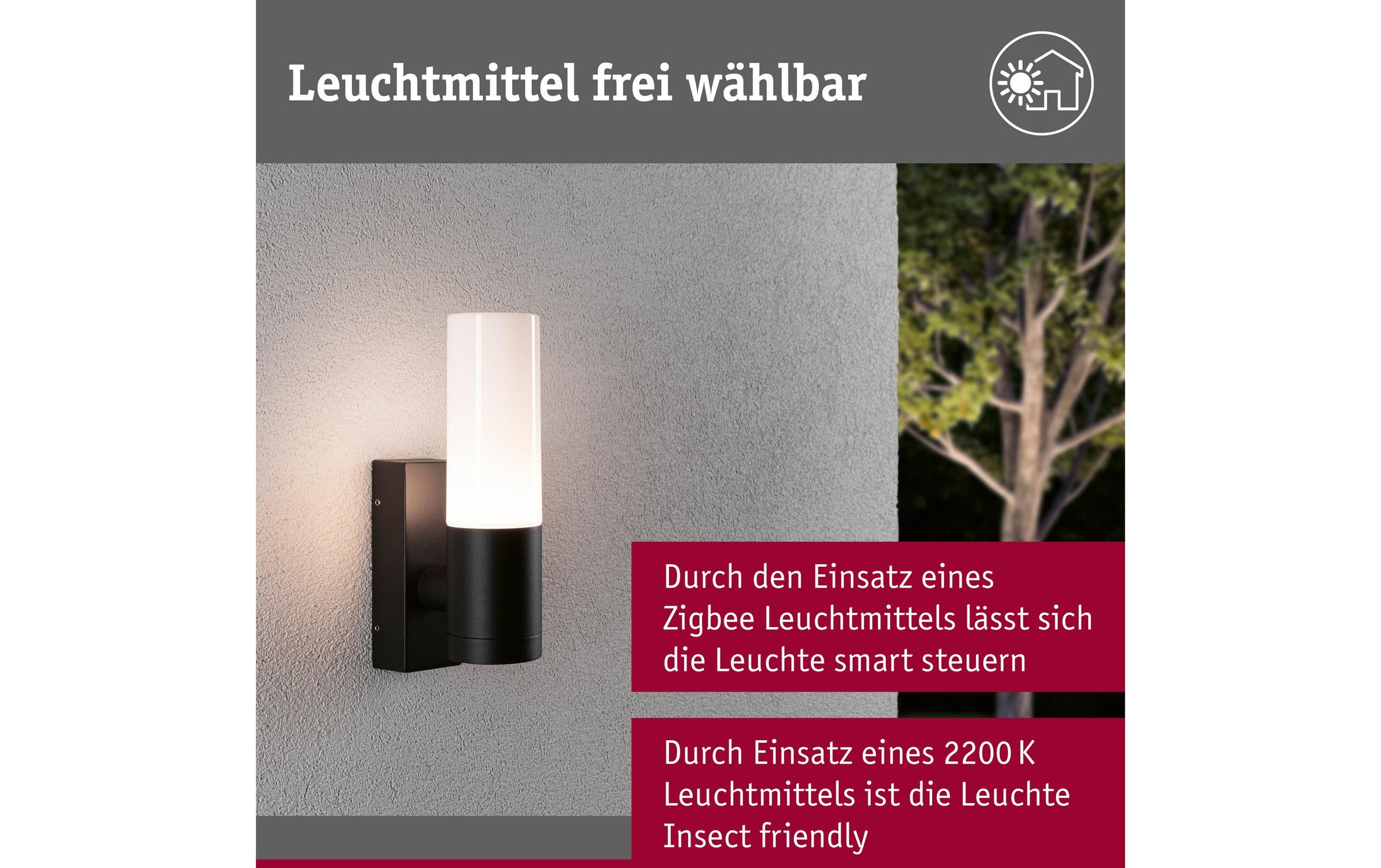 Paulmann LED Wandleuchte »Tralia E27 10«