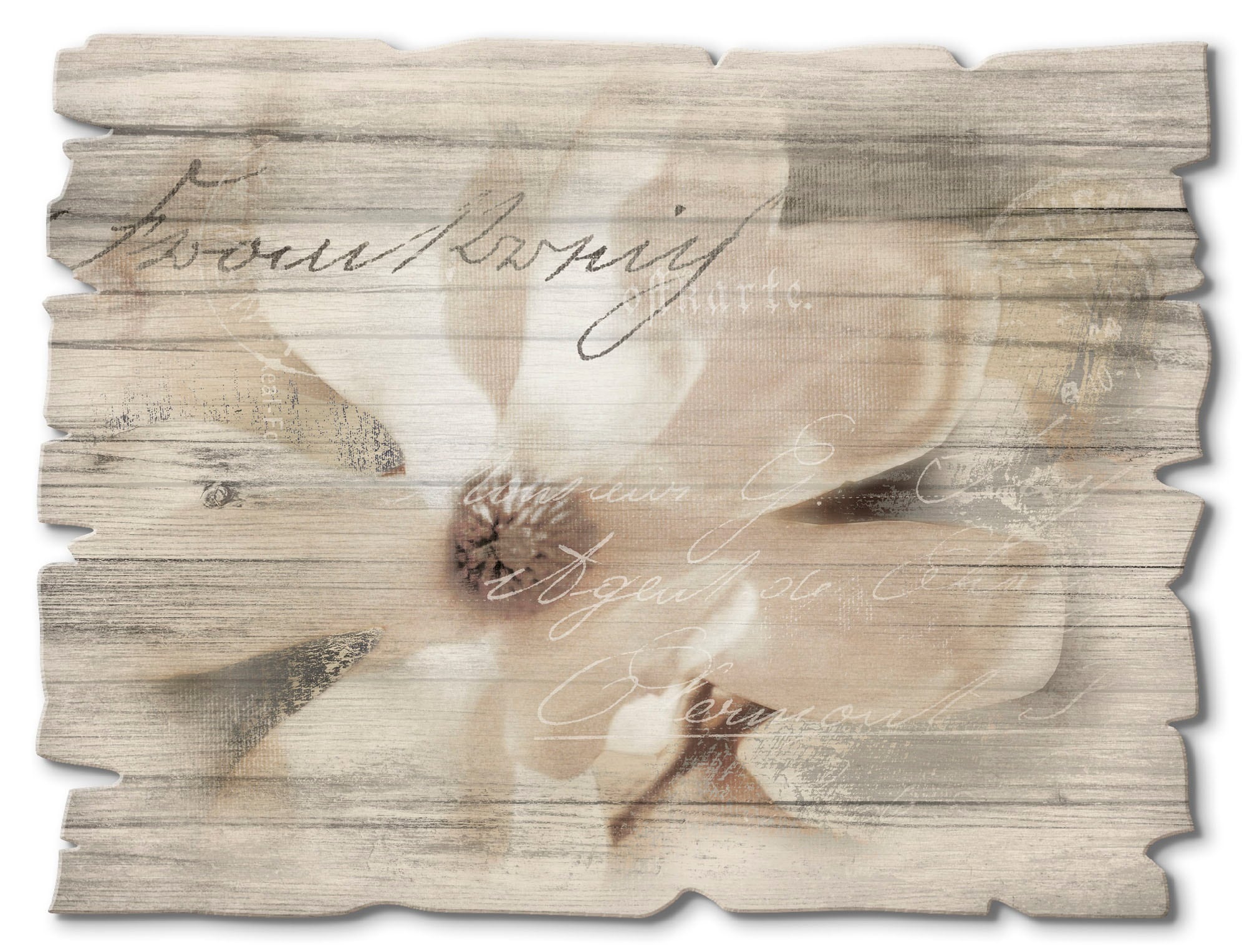 Jelmoli-Versand St.) kaufen online »Magnolie_Detail«, Artland | (1 Holzbild Blumen,
