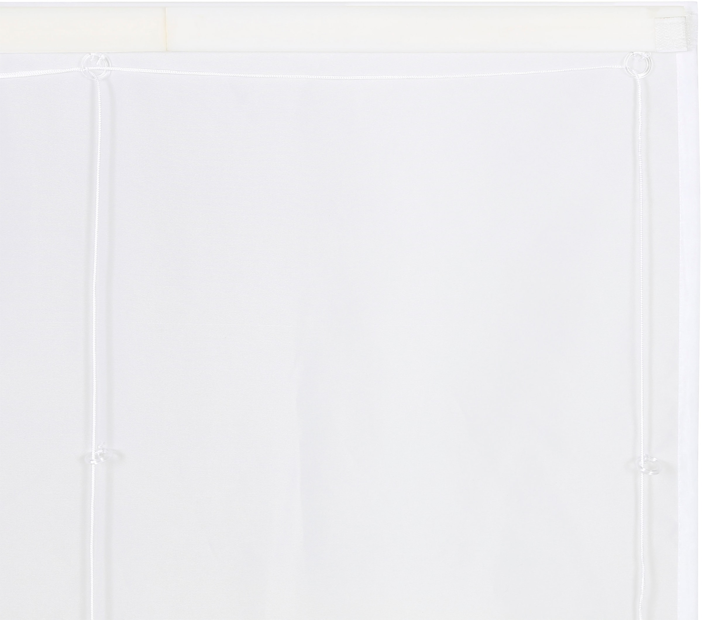 my home Raffrollo transparent, mit Klettband, glatt Seidenoptik, gewebt, online Jelmoli-Versand »MARIA«, shoppen 