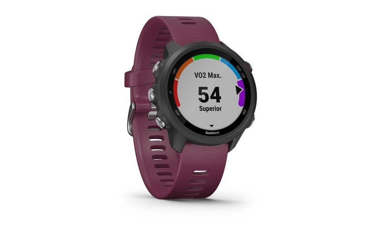Garmin Smartwatch »Forerunner 245 Schwarz/Bordeaux«,)