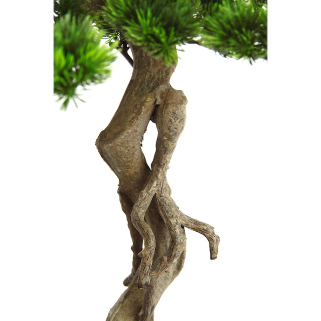 I.GE.A. Kunstpflanze »Bonsai Baum in Schale«, Exotische Bäume Zen Garten  online shoppen | Jelmoli-Versand