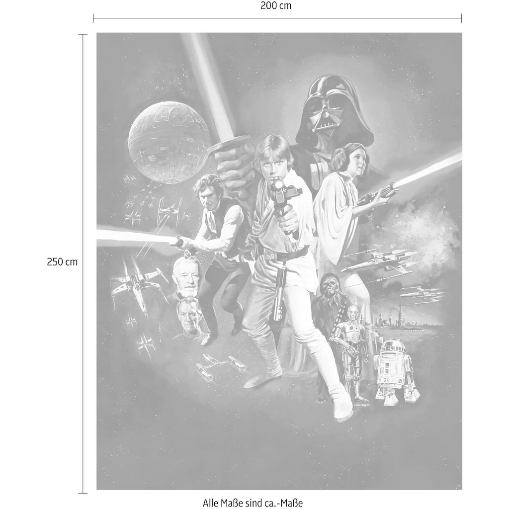 Komar Vliestapete »Star Wars Poster Classic 1«