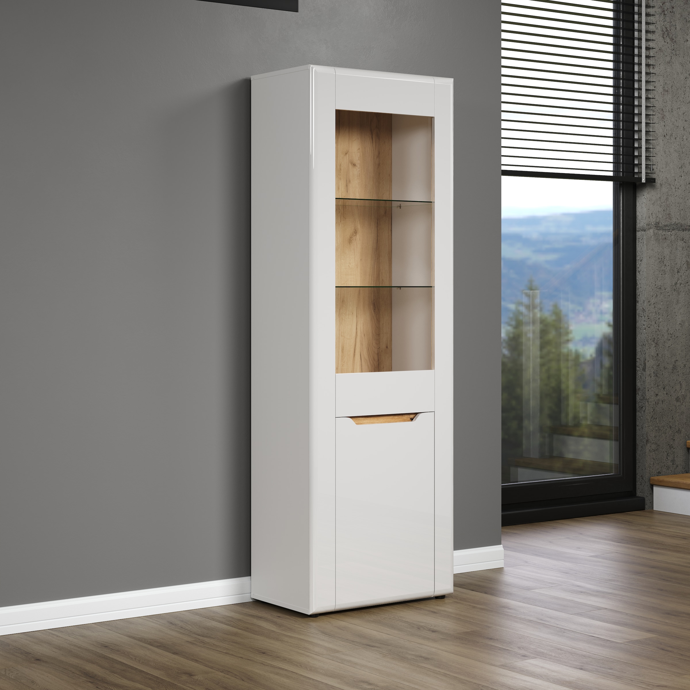 INOSIGN Standvitrine »Graz«, (Packung, 1 St.), Grifflos