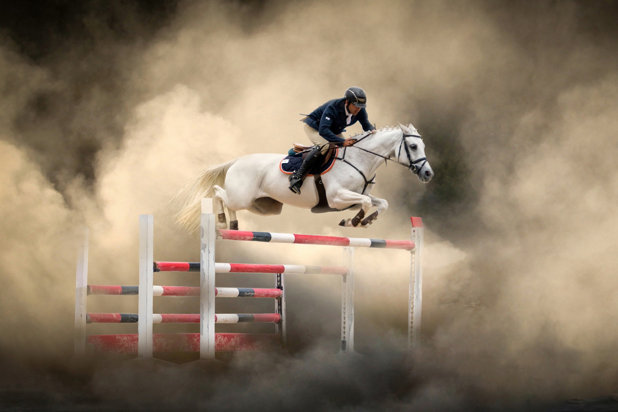 Papermoon Fototapete »Photo-Art ARIF UNSAL, WEISSES PFERD«