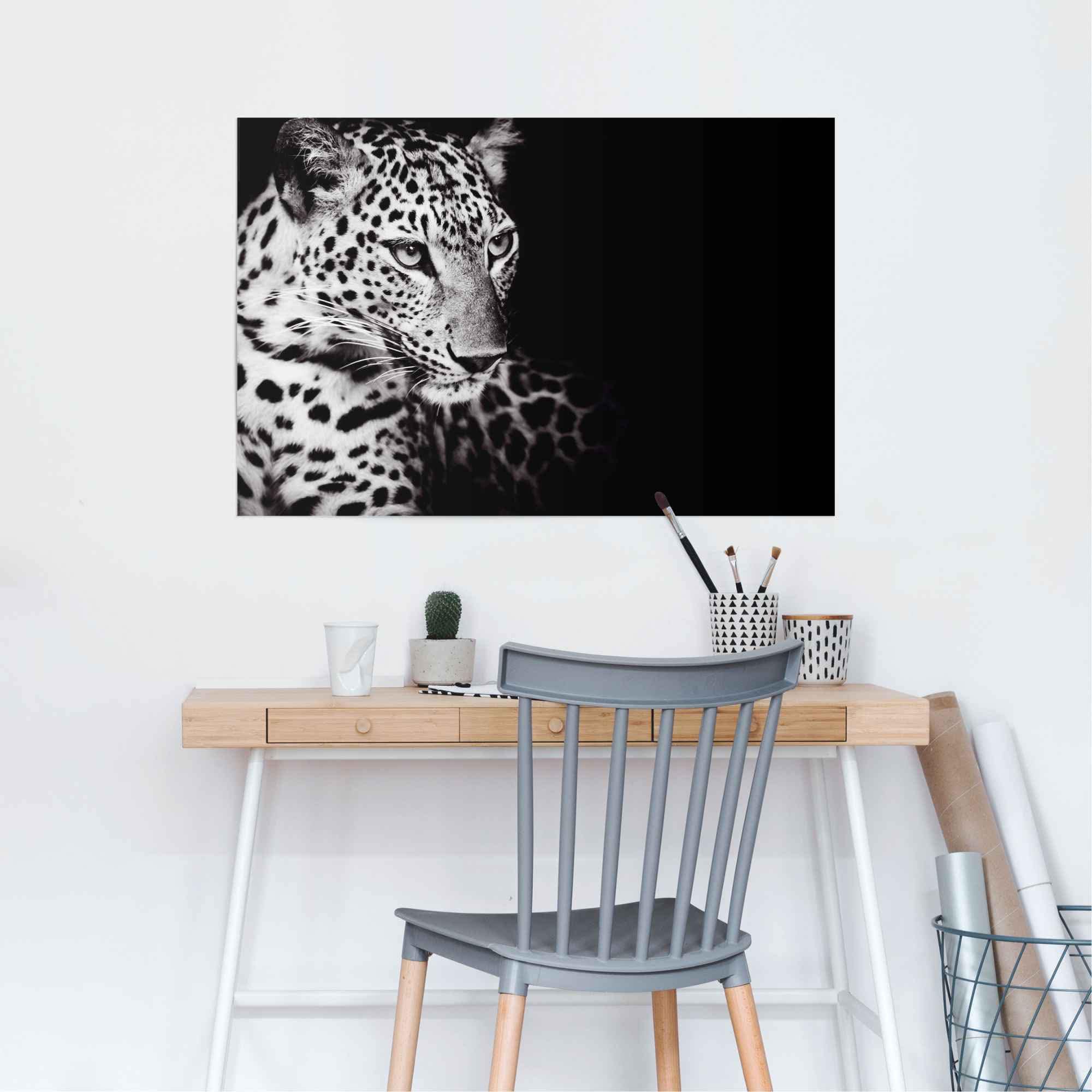 Leopard«, Natur der entdecken (1 St.) Jelmoli-Online Poster Shop »Könige Reinders! ❤ im