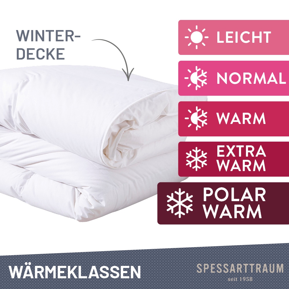 SPESSARTTRAUM Daunenbettdecke + 3-Kammer-Kopfkissen »Exklusiv, 2-tlg, hergestellt in Deutschland, made in Germany, Set«, (Spar-Set, Decke mit Kissen), Sparset: 5 Wärmeklassen, 135x200 cm & 155x220 cm