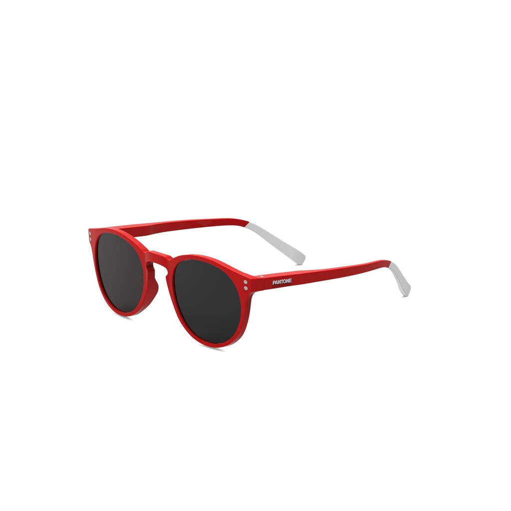 Sonnenbrille »N° EIG«