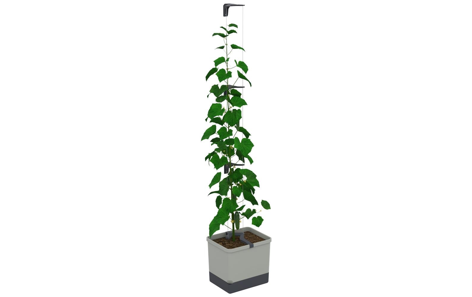 Gusta Garden Blumentopf