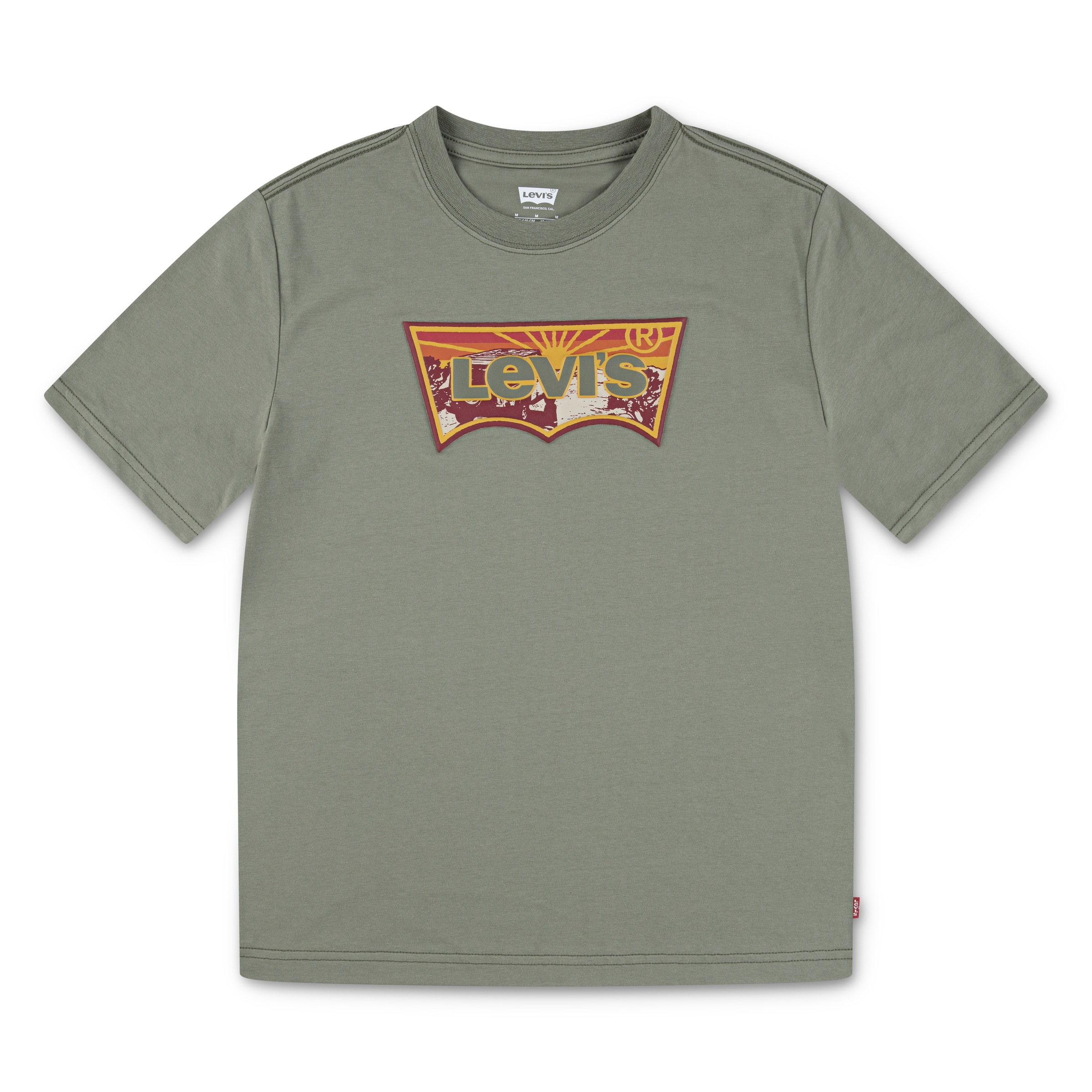 Levi's® Kids T-Shirt »LVB SUNRISE DESERT TEE« aus Baumwollmix, for Boys