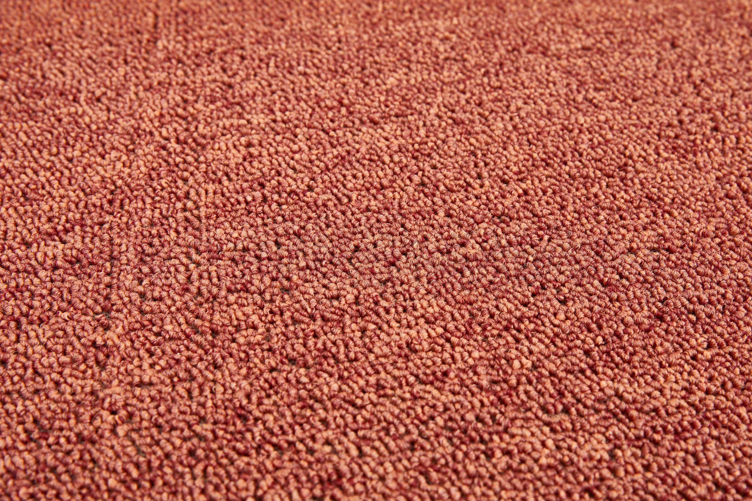 my home Teppichboden »Ruth, melierte Schlinge, Made in Netherlands«, rechteckig, 4,5 mm Höhe, Breite 400 & 500 cm, robust, pflegeleicht, antistatisch