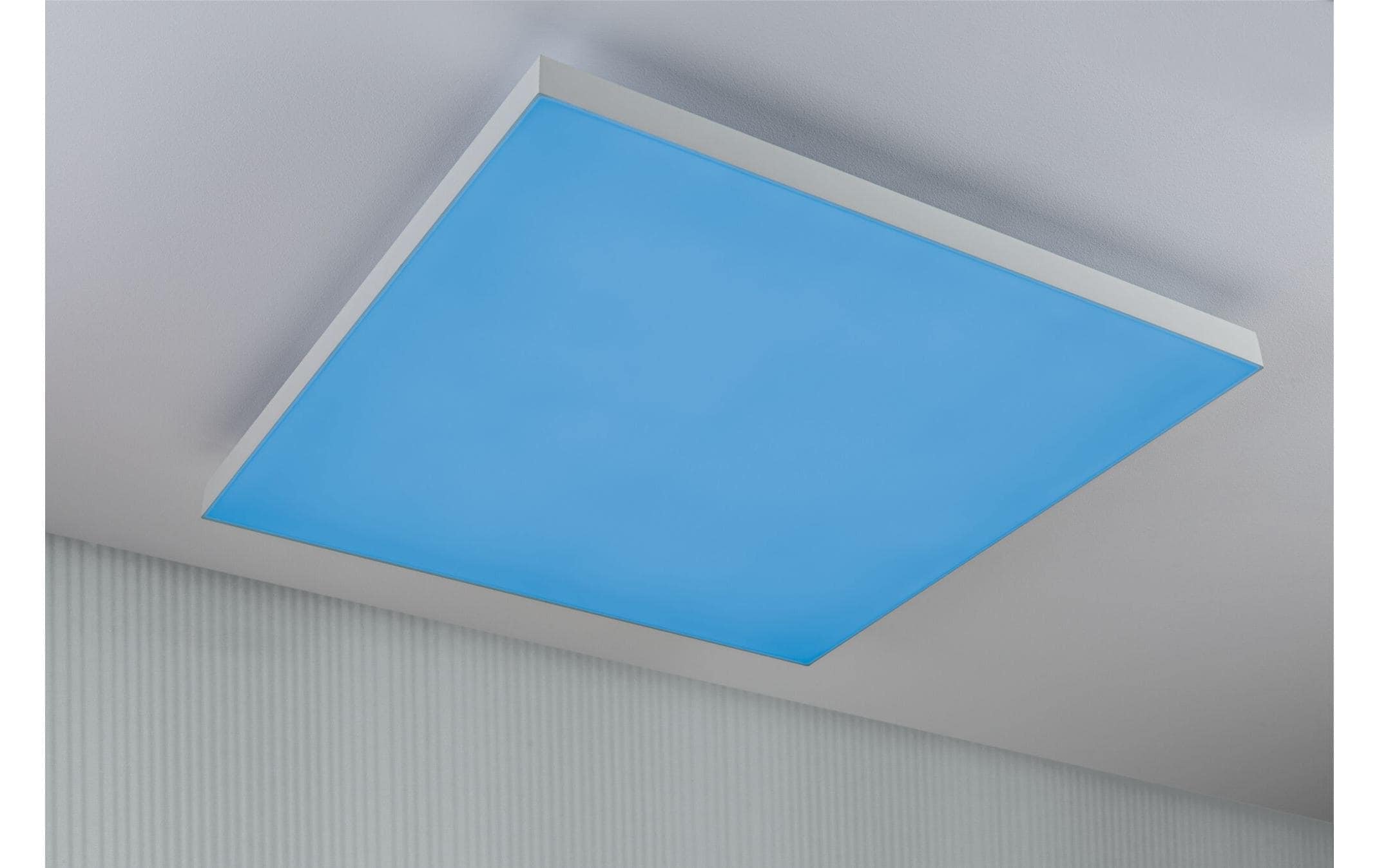 Paulmann Deckenleuchte »LED Panel Ve«, 1 flammig