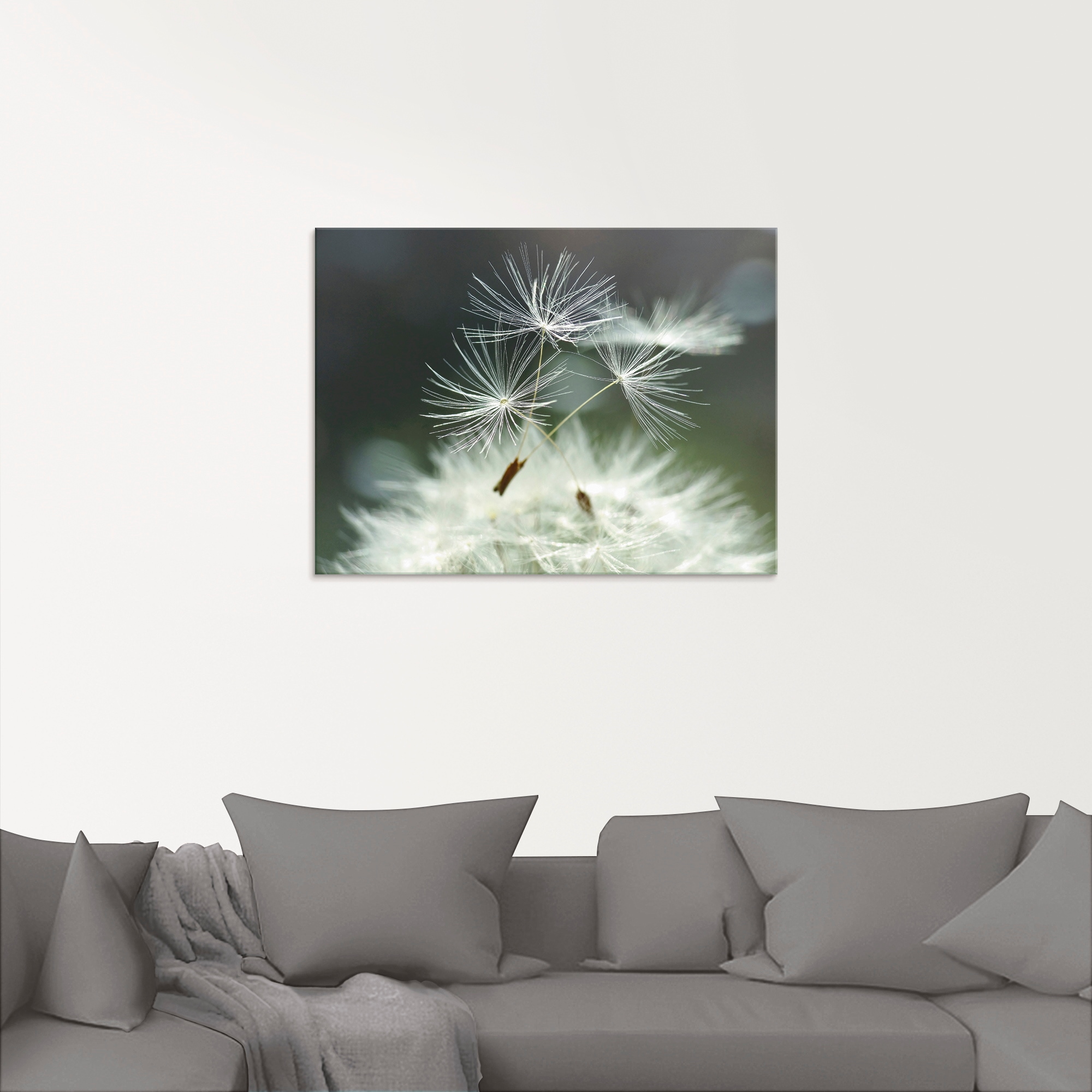 Artland Glasbild »Pusteblume Facility«, Blumen, (1 St.), in verschiedenen Grössen
