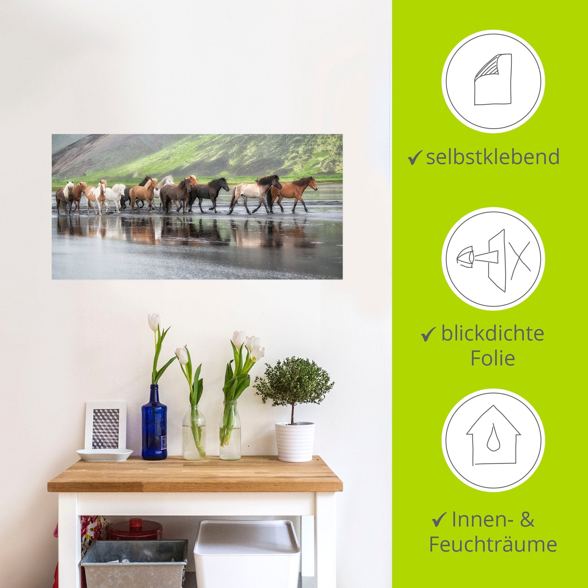 Artland Wandbild »Isländische Pferde XIV«, Haustiere, (1 St.), als Leinwandbild, Wandaufkleber in verschied. Grössen