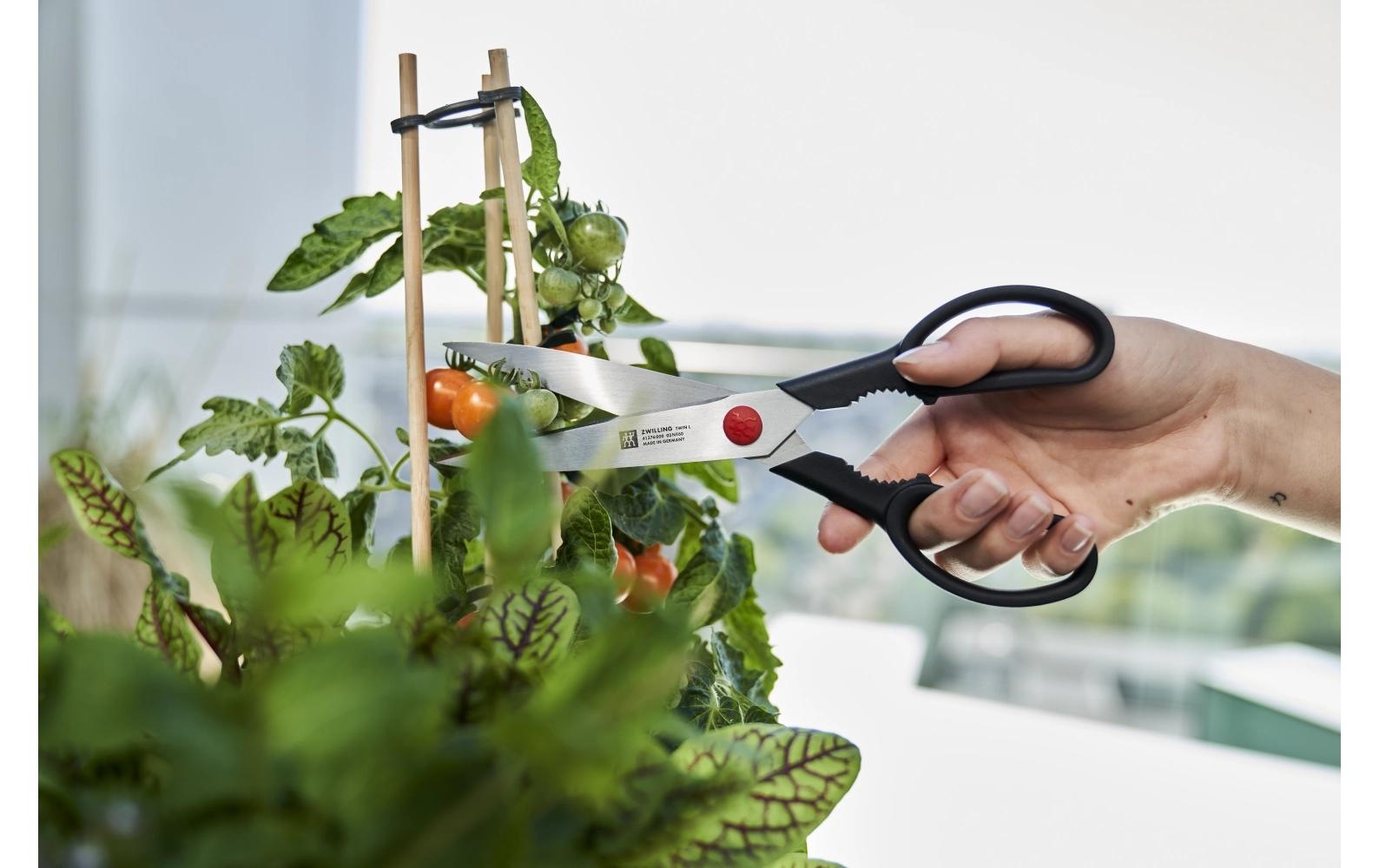 Zwilling Haushaltsschere »Twin L 23 cm«