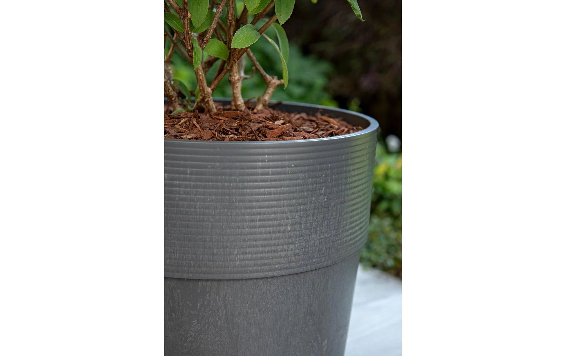 Scheurich Blumentopf »Groove+ Carbon«