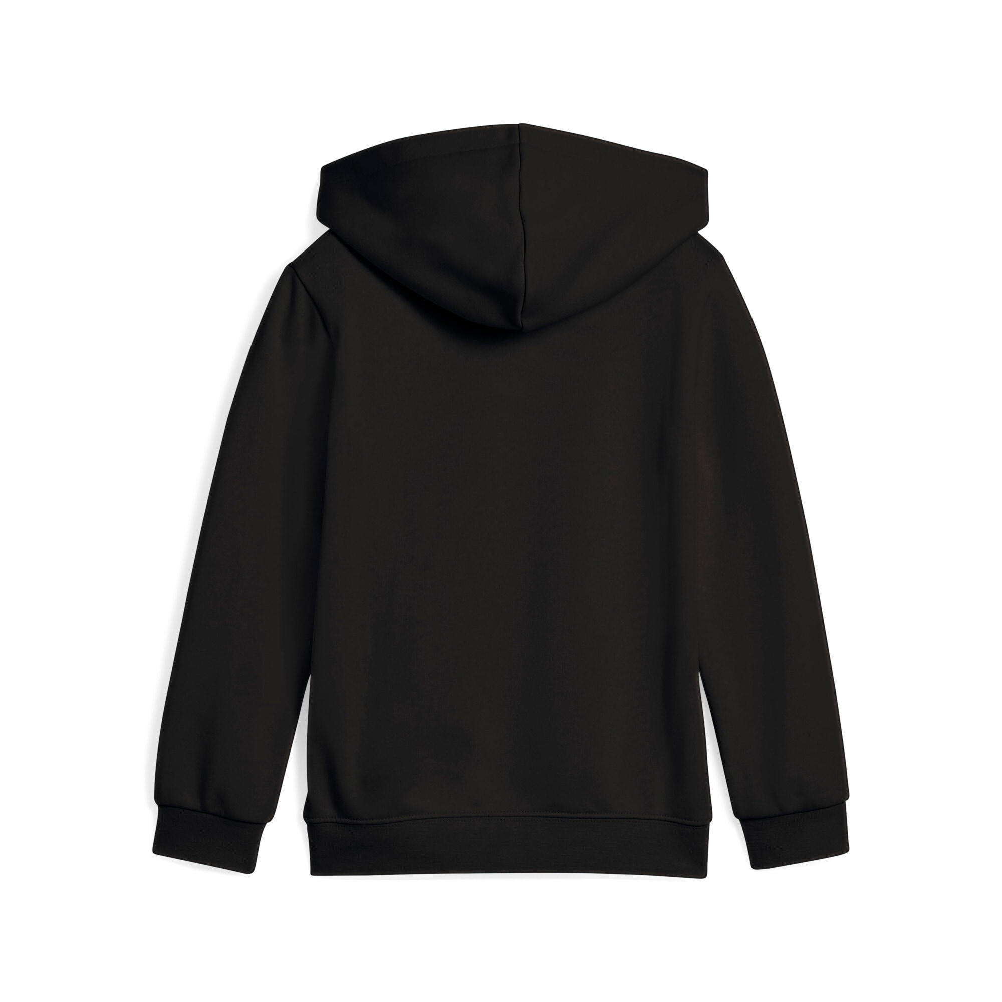 PUMA Kapuzensweatshirt »SUPER HOODIE PS«