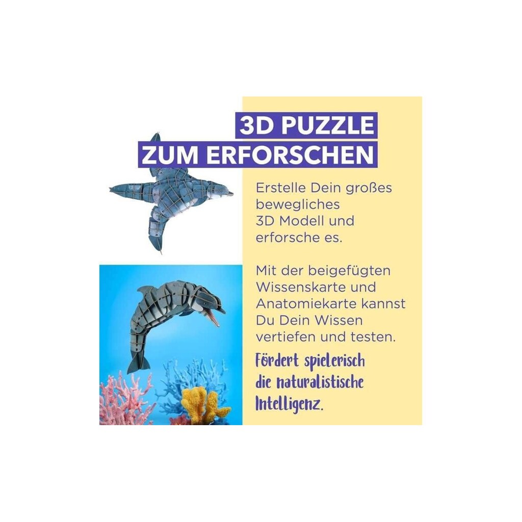 3D-Puzzle »mierEdu Eco – Der Delfin«