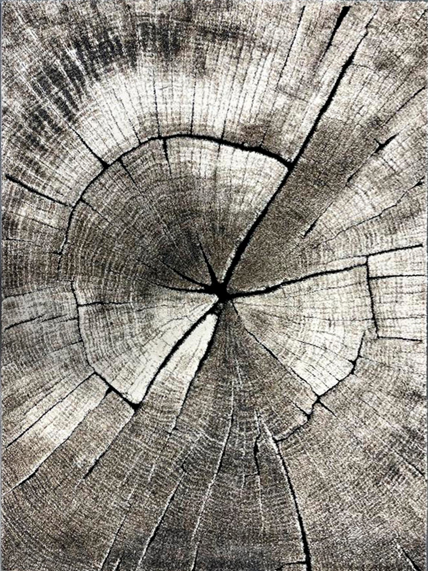 merinos Teppich »Ibiza 605«, rechteckig, 13 mm Höhe, Wohnzimmer, Baumstamm Motiv, Holz Optik