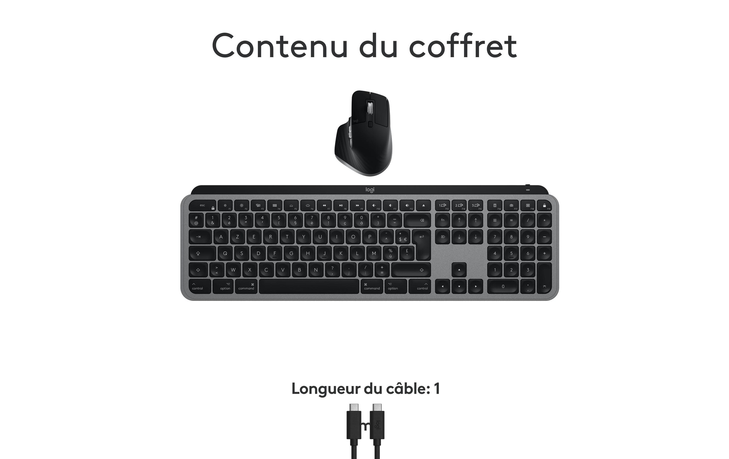 Logitech Tastatur- und Maus-Set »MX Keys S Combo for Mac«