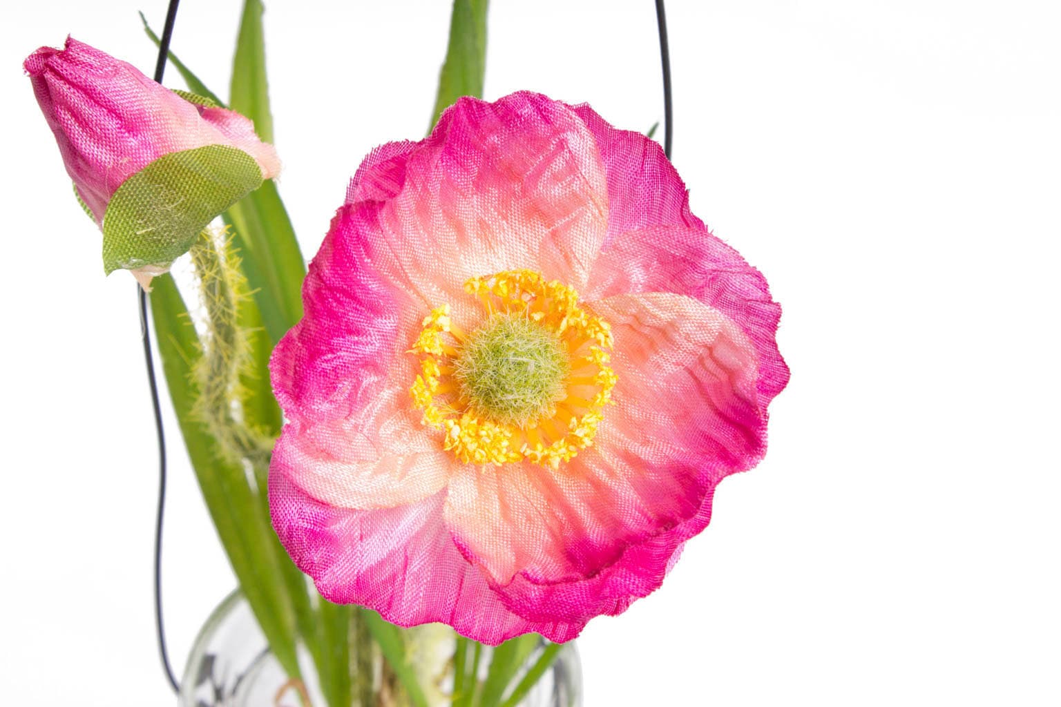 im Kunstblume Glas« | Botanic-Haus »Mohnblume kaufen Jelmoli-Versand online