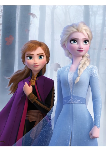 Poster »Frozen Sisters in the Wood«, Disney, (1 St.)