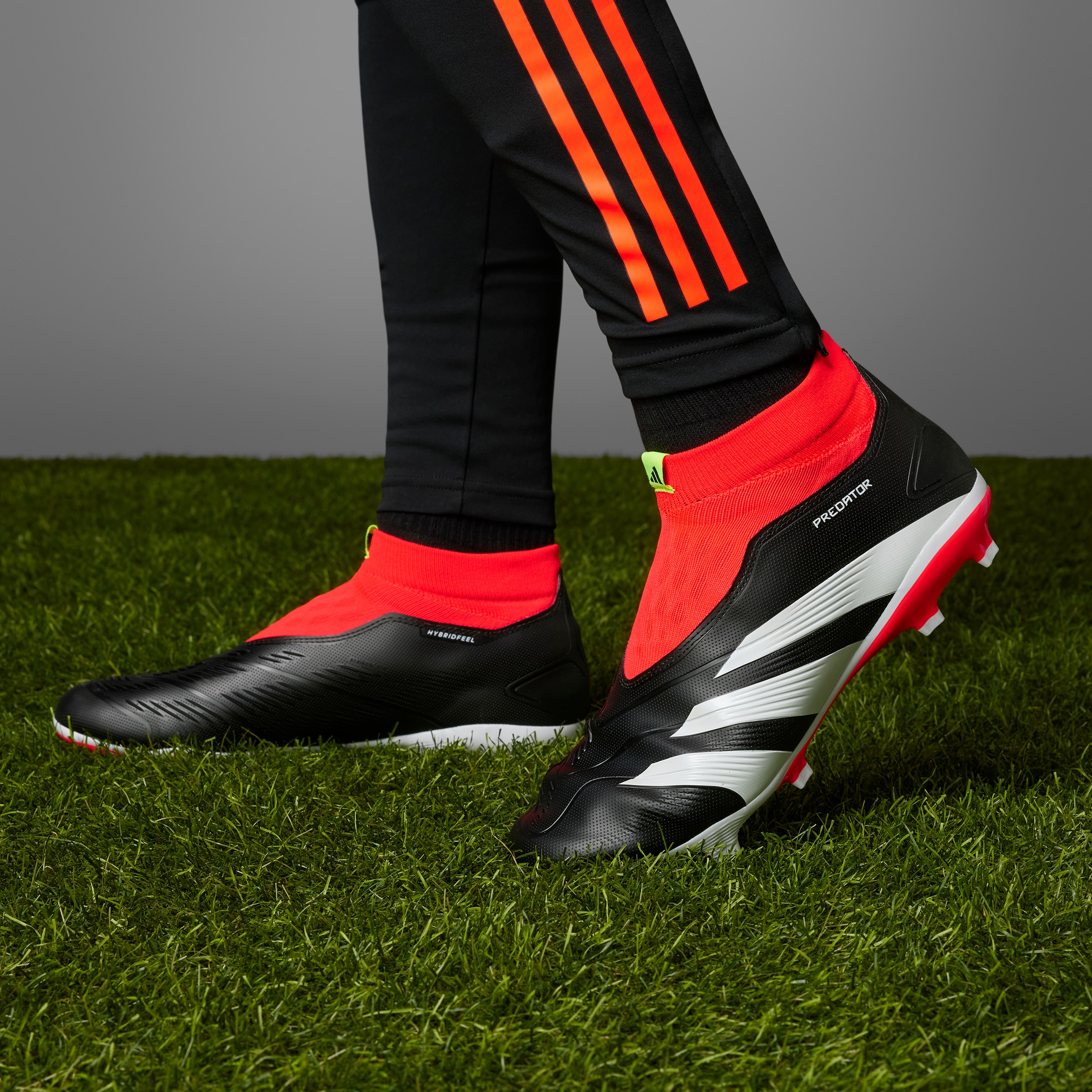 adidas Performance Fussballschuh »PREDATOR LEAGUE LACELESS FG«