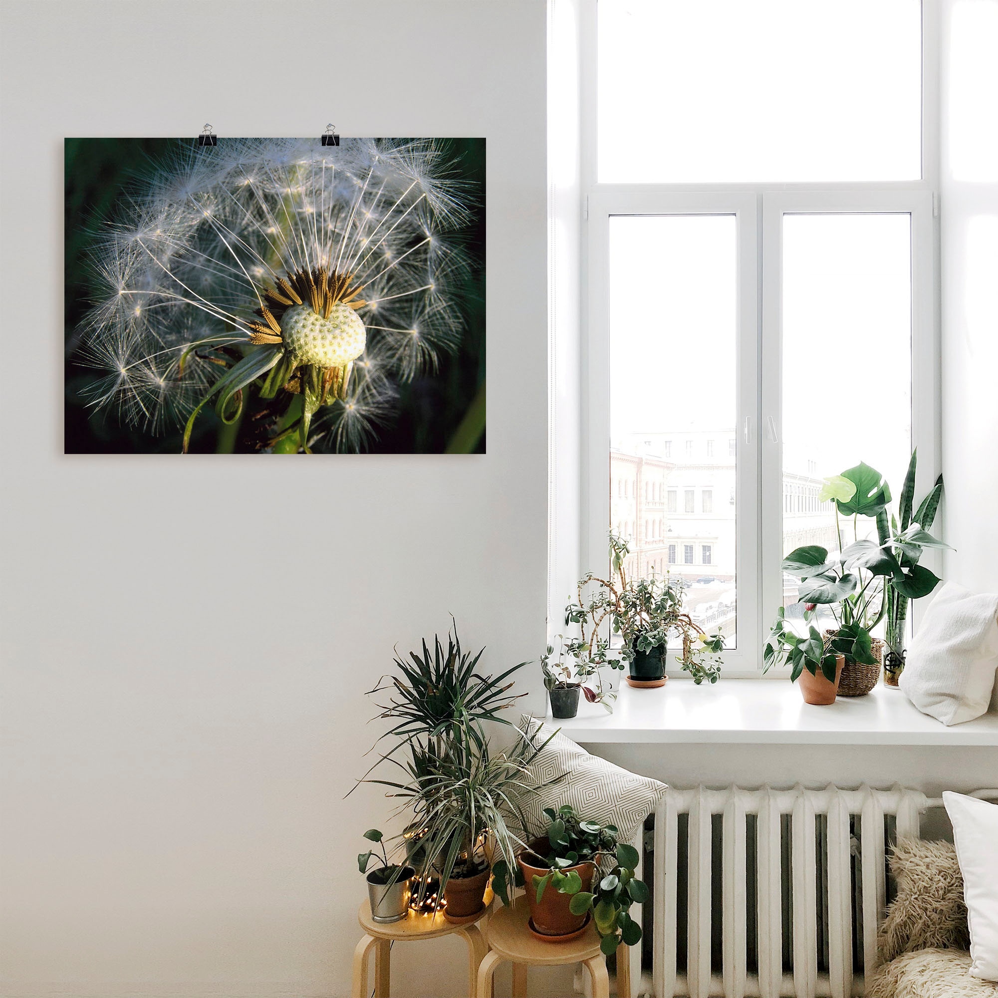 Artland Wandbild »Pusteblume«, Blumen, (1 versch. St.), | in als bestellen Leinwandbild, online Alubild, Grössen Jelmoli-Versand Wandaufkleber Poster oder