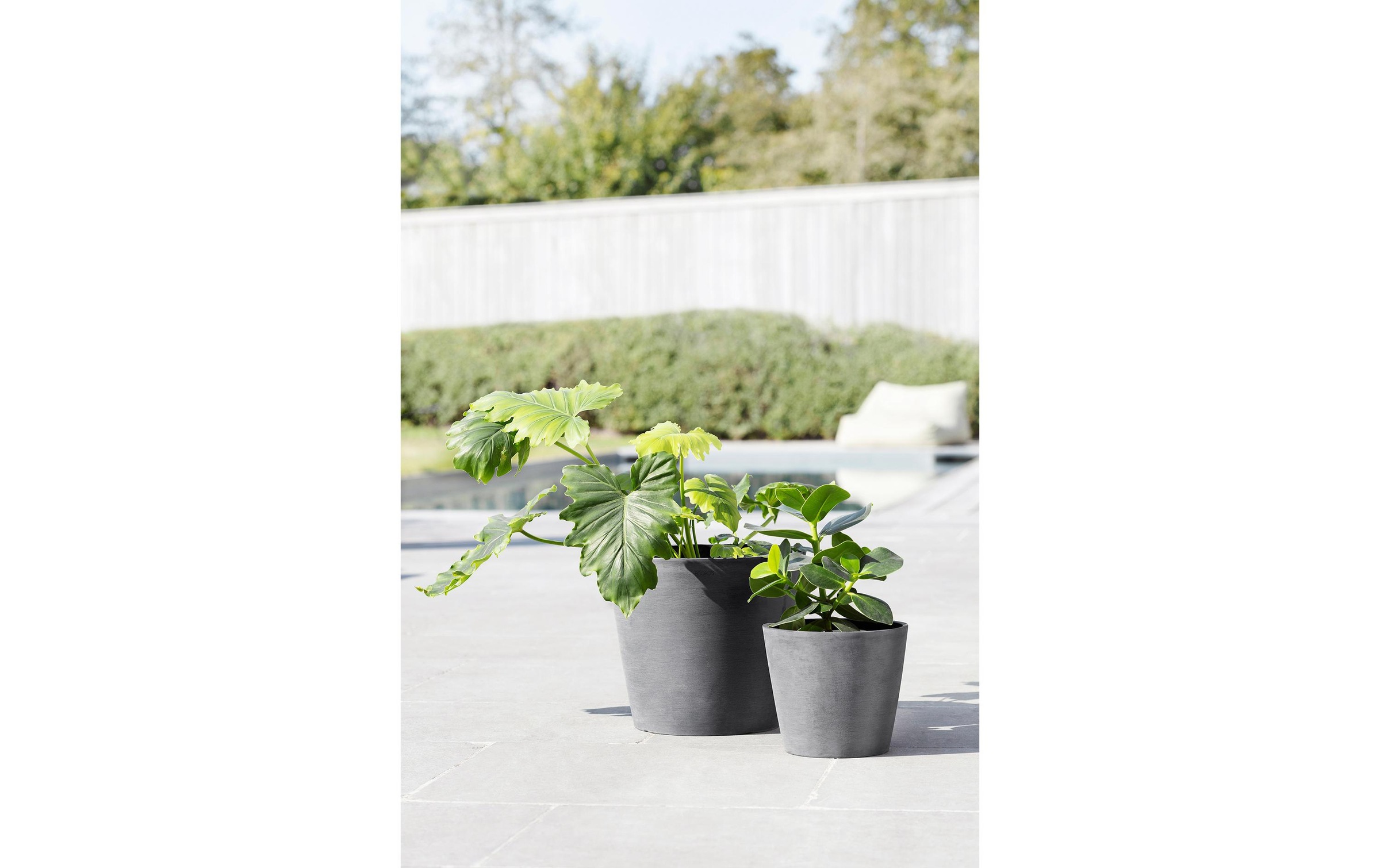 ECOPOTS Blumentopf "Amsterdam 50 G"