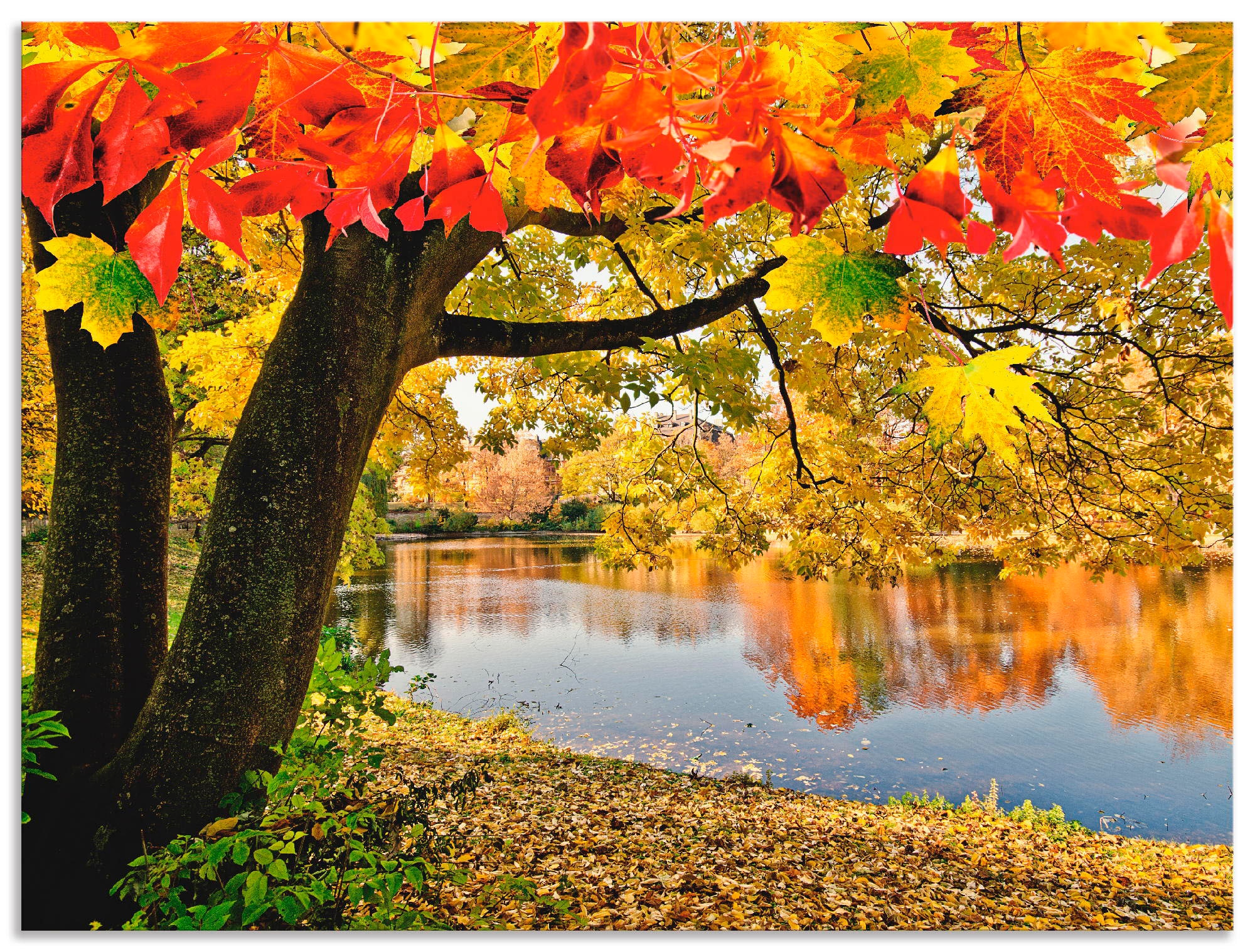 Artland Wandbild »Herbsttag an einem ruhigen See«, Gewässer, (1 St.), als  Alubild, Leinwandbild, Wandaufkleber oder Poster in versch. Grössen online  shoppen | Jelmoli-Versand