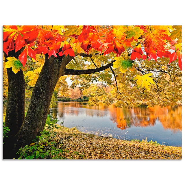 Artland Wandbild »Herbsttag an einem ruhigen See«, Gewässer, (1 St.), als  Alubild, Leinwandbild, Wandaufkleber oder Poster in versch. Grössen online  shoppen | Jelmoli-Versand