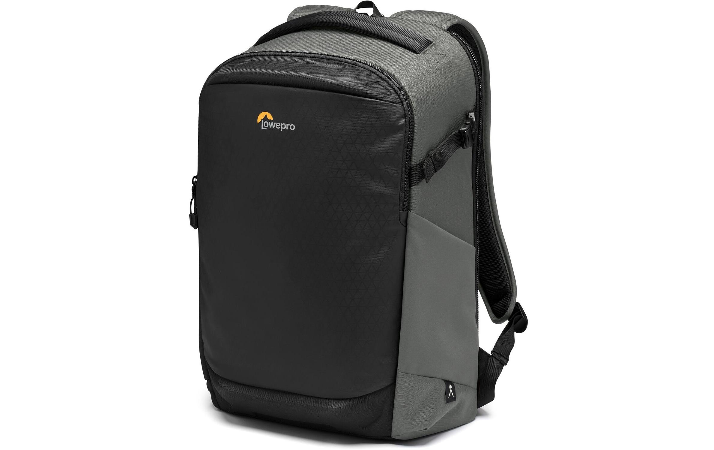 Lowepro Kameratasche »Flipside 300 AW III«