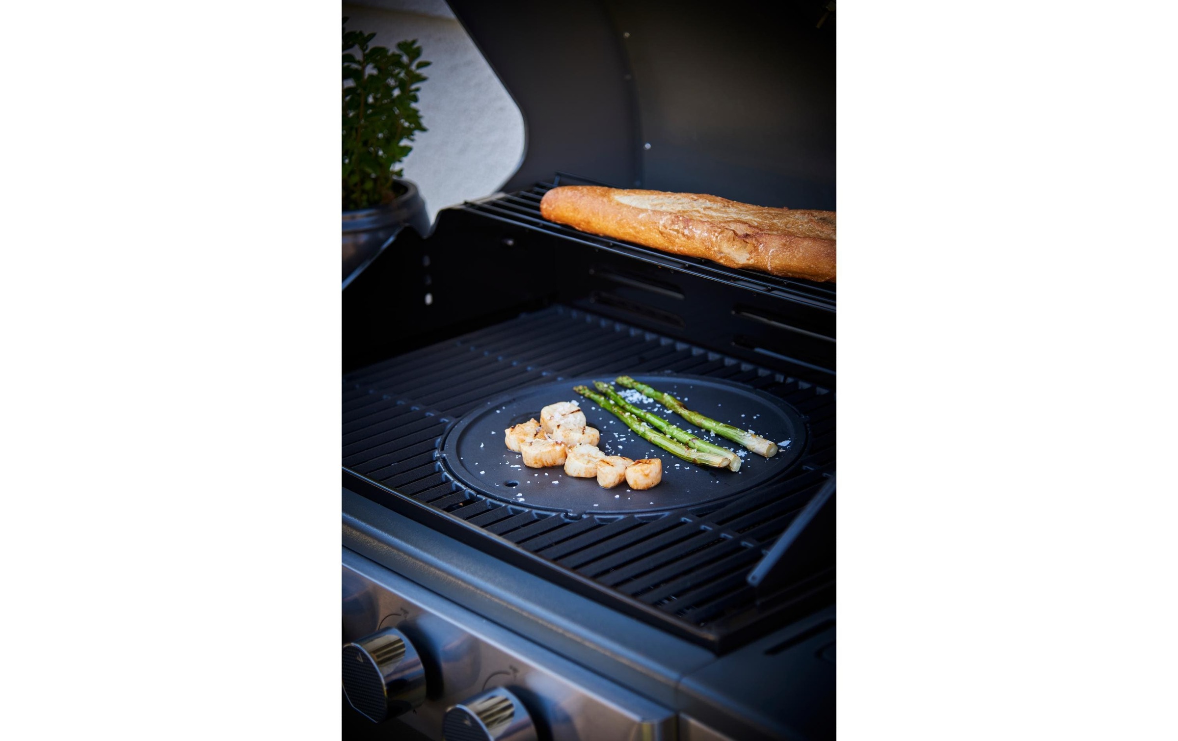 Grillplatte »Dangrill Flex 2 in 1«