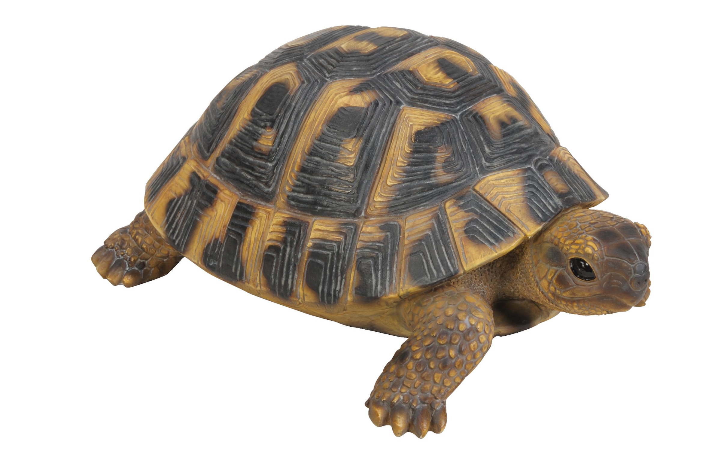 Dekofigur »Vivid LandschildkrötePolyresin«