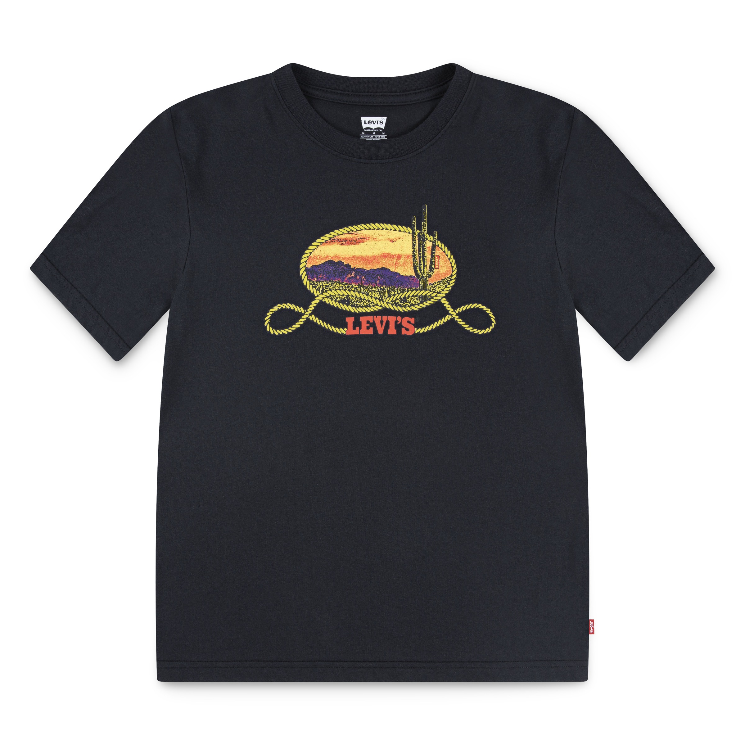 Levis Kids T-Shirt "LVB CACTUS IN THE SUNSET" mit Western-Print