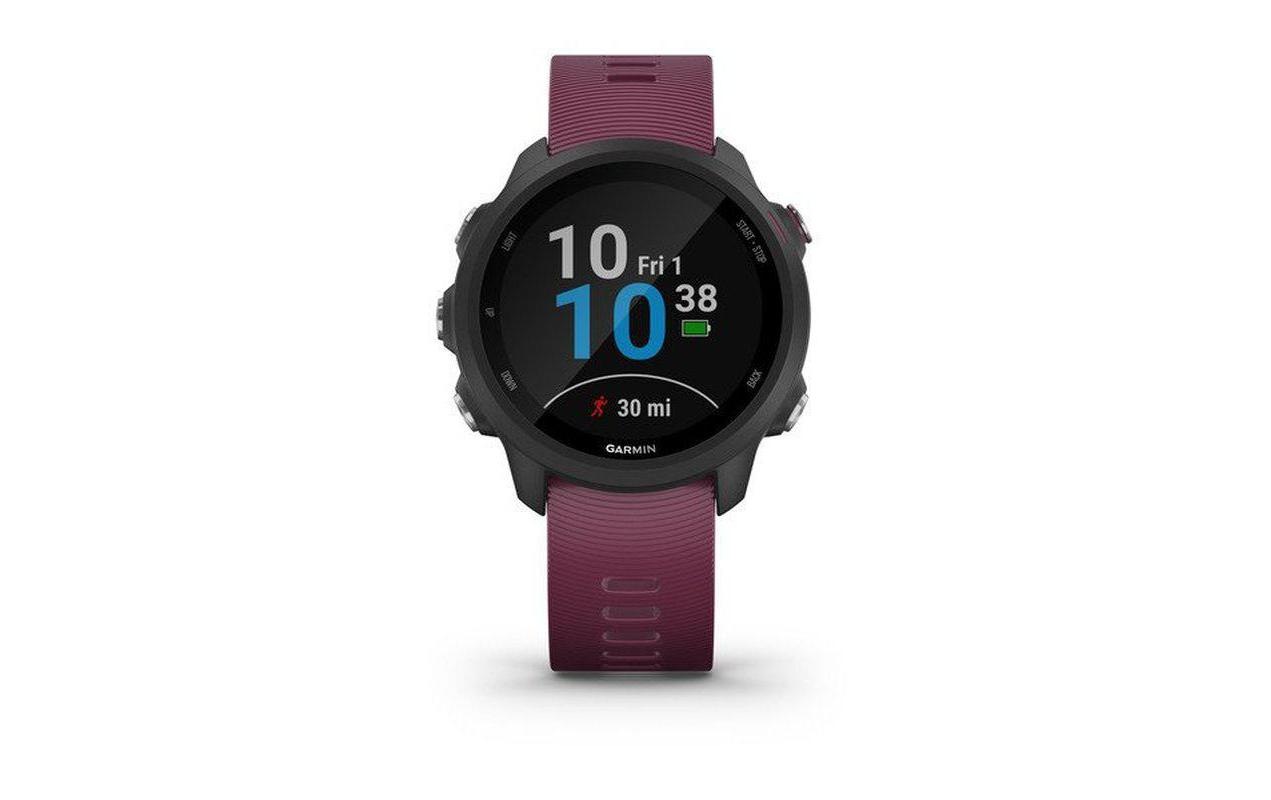 Garmin Smartwatch »Forerunner 245 Schwarz/Bordeaux«,)