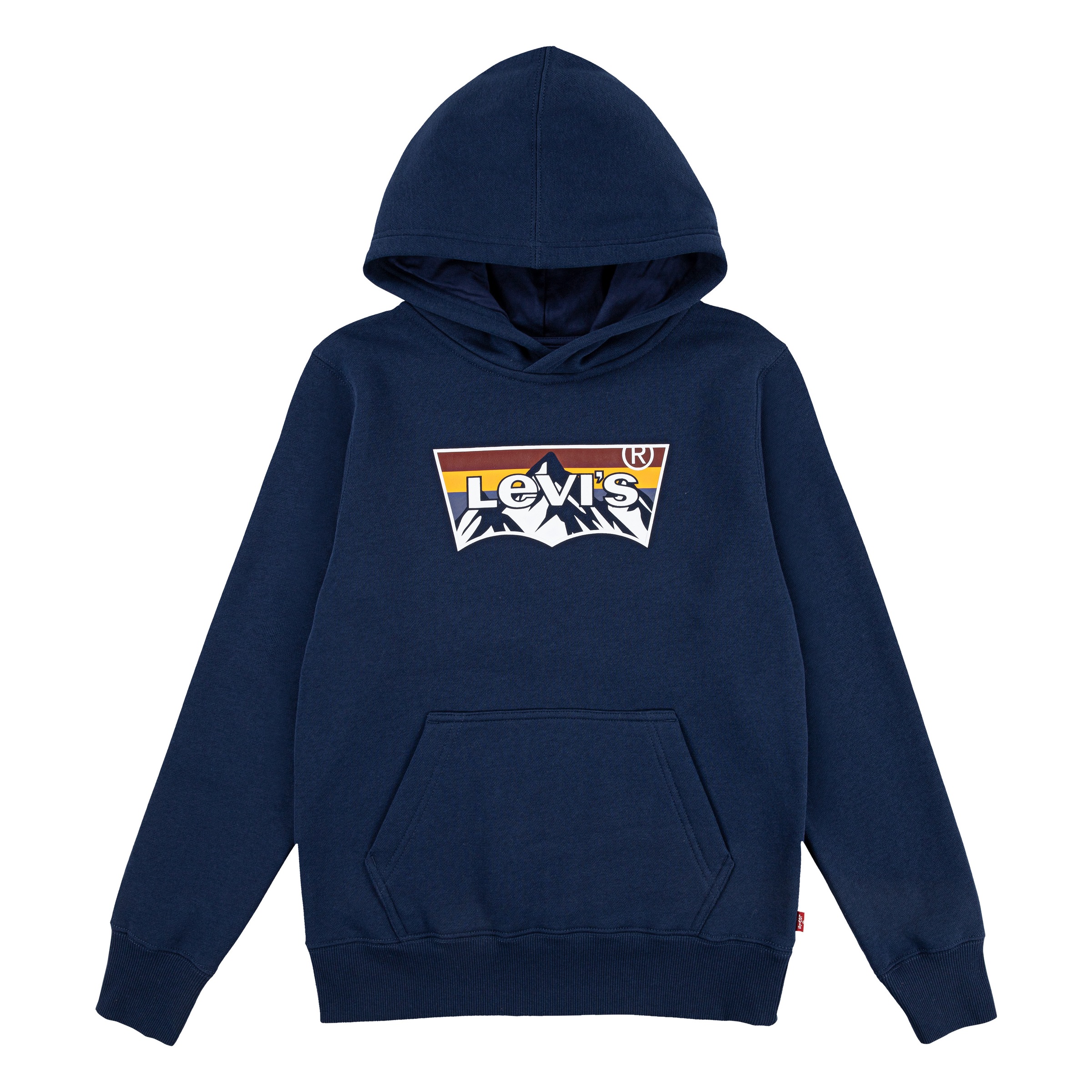 Levi's® Kids Hoodie »LVB MOUNTAIN BATWING HOODIE«, for Boys. Batwing-Logodruck