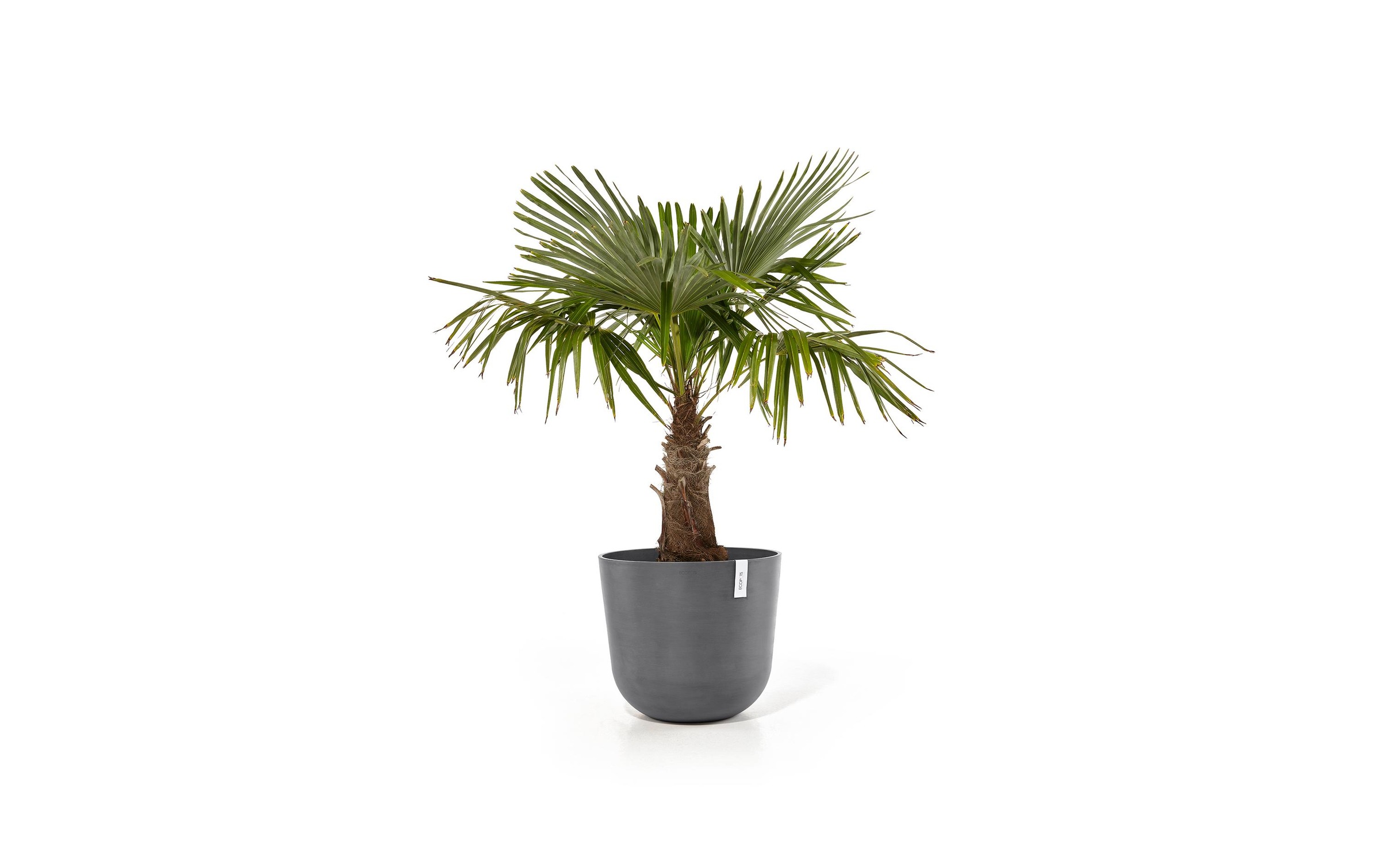 ECOPOTS Blumentopf »Oslo 55 Grau«