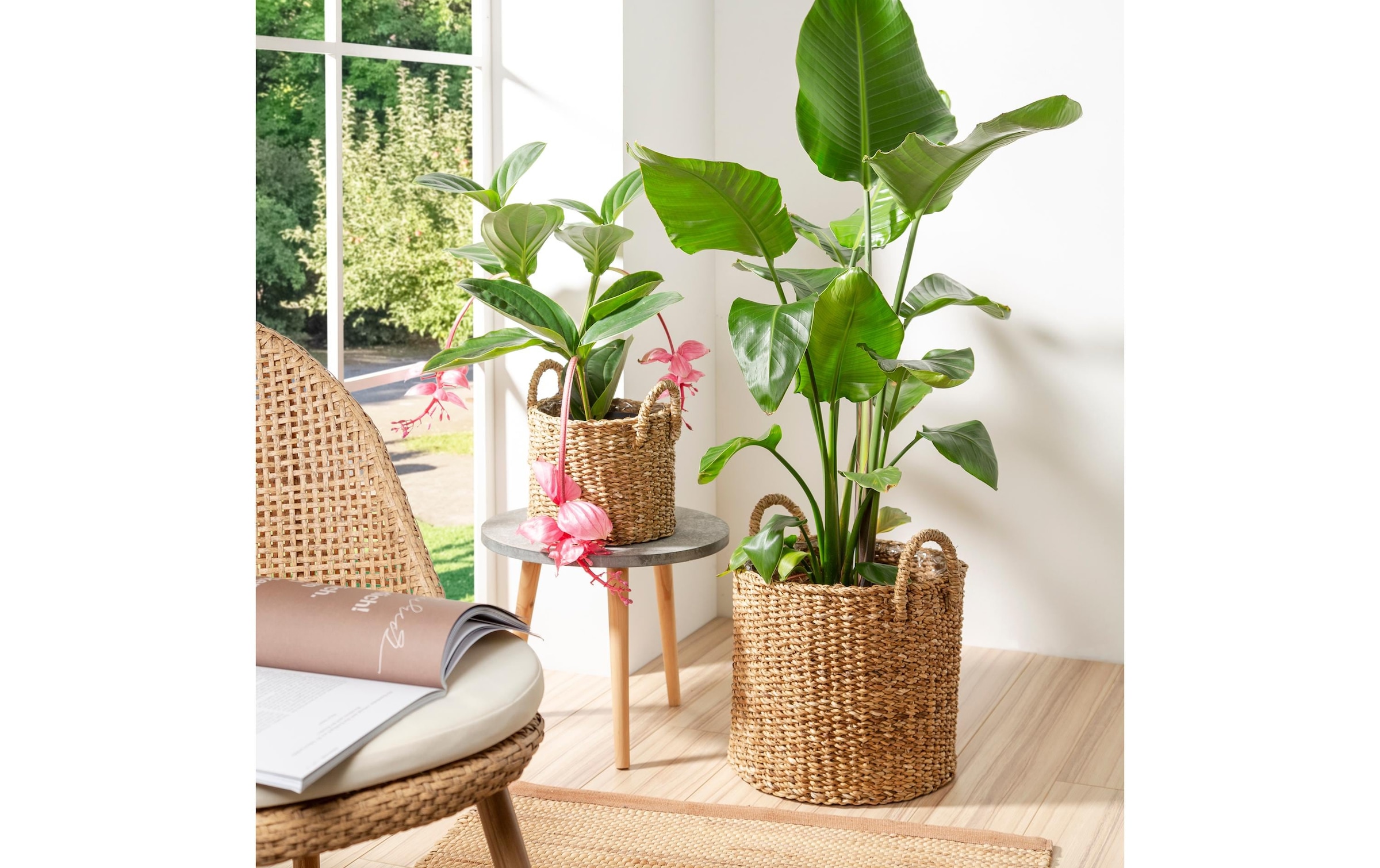 Scheurich Blumentopf »mit Griffen 28 x 24 cm«