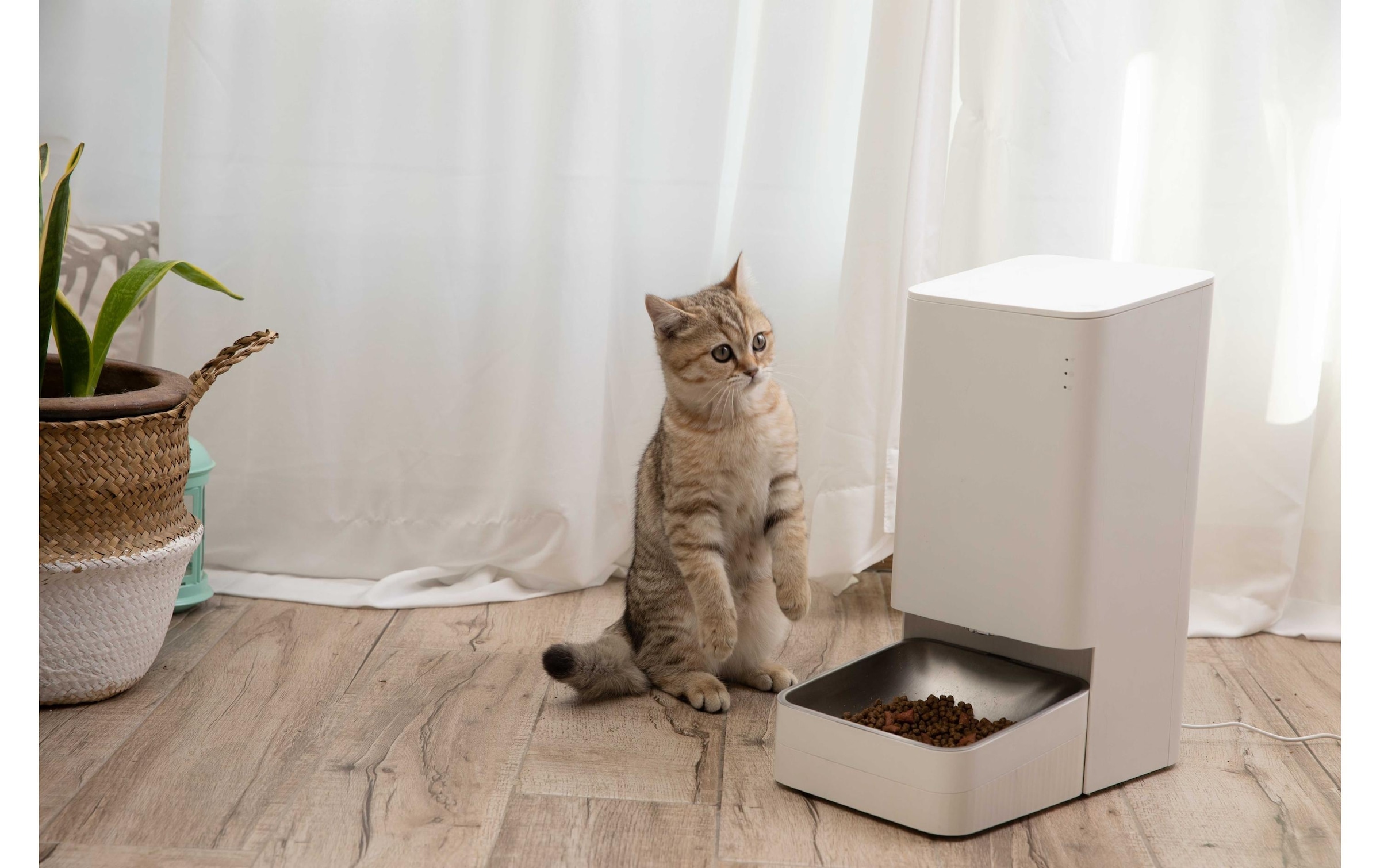 Xiaomi Futterautomat »Pet Food Feeder«