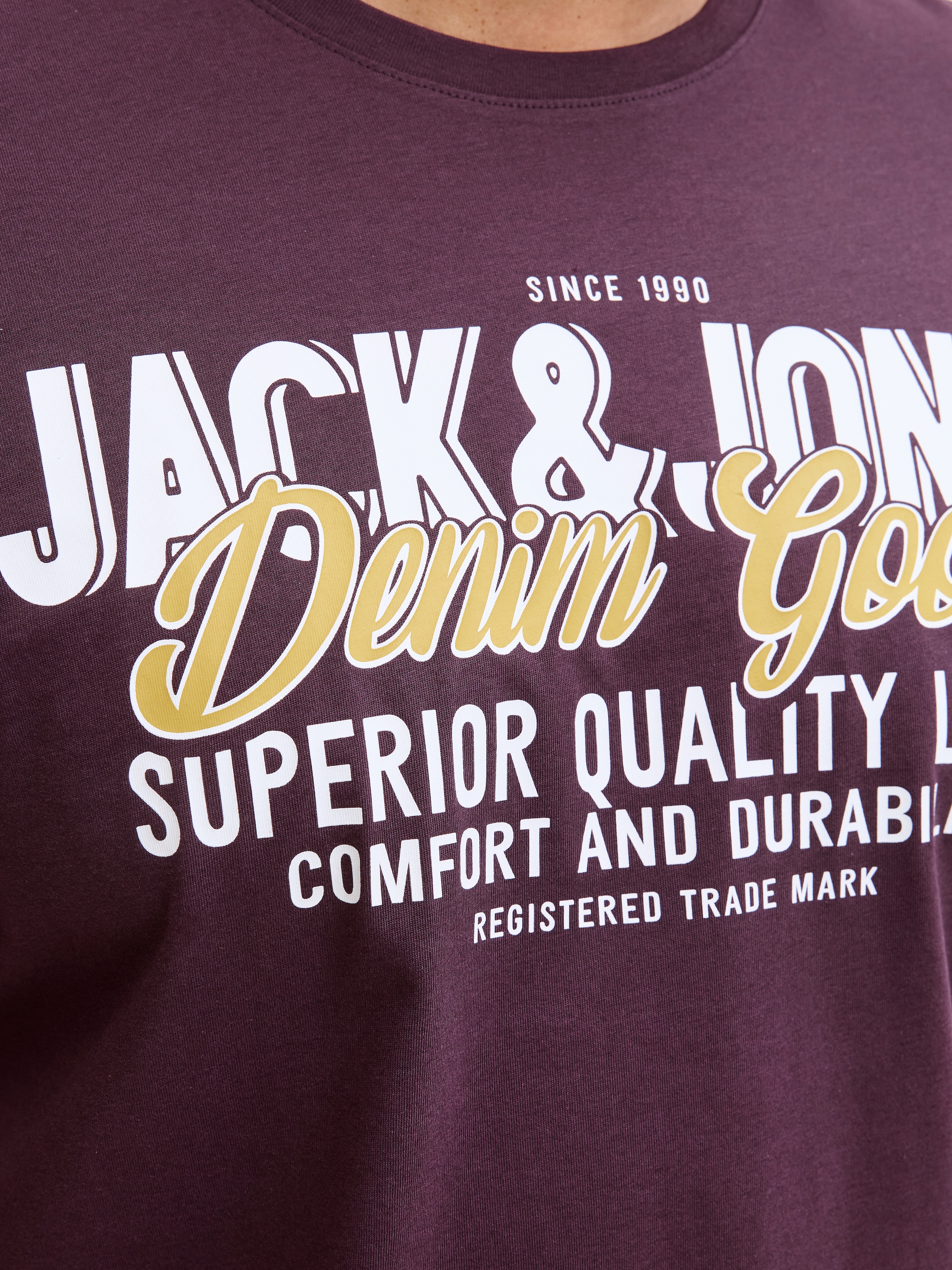 Jack & Jones PlusSize T-Shirt »JJELOGO TEE SS ONECK 2 COL AW25 NOOS PLS«